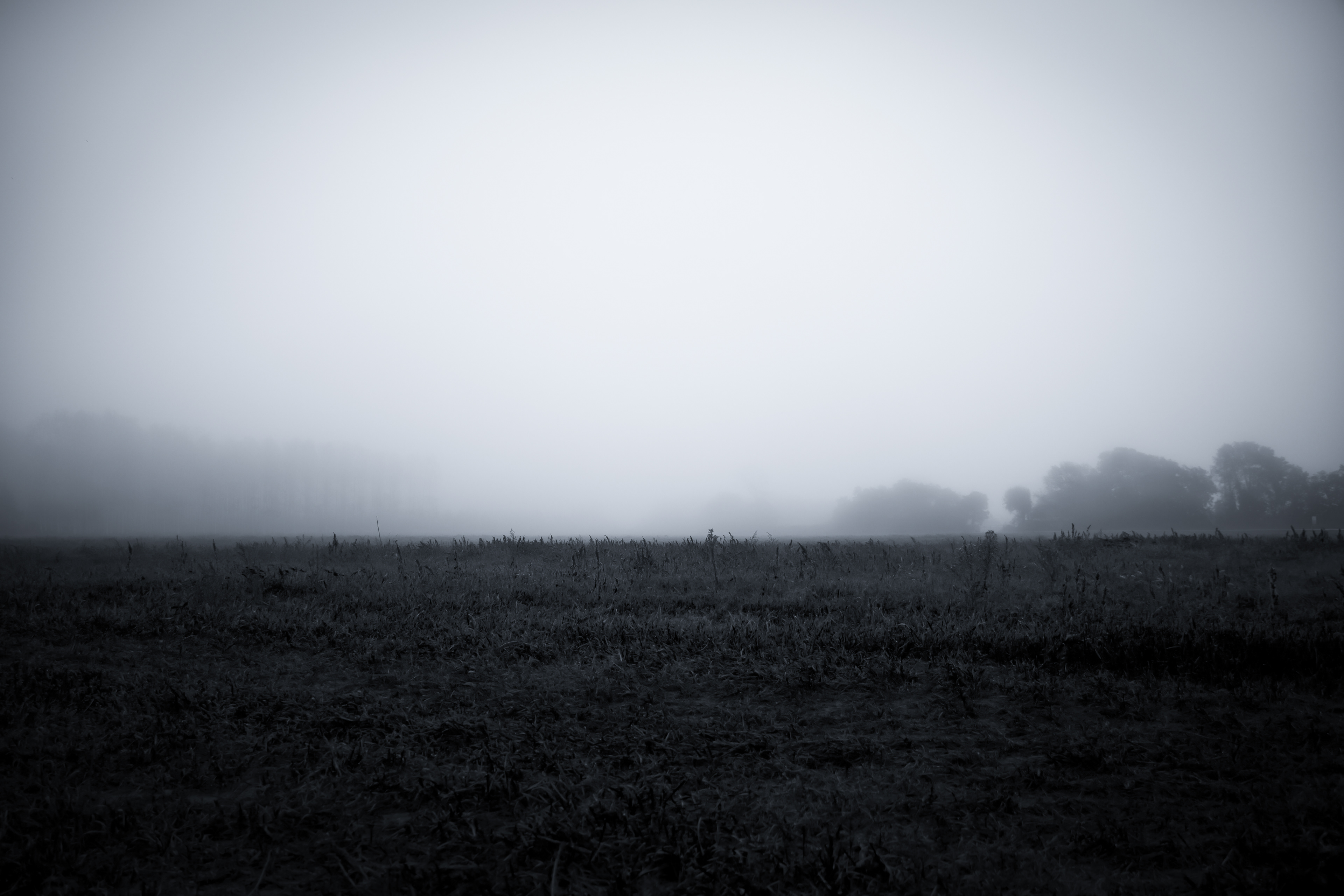 la bellesa del no res.