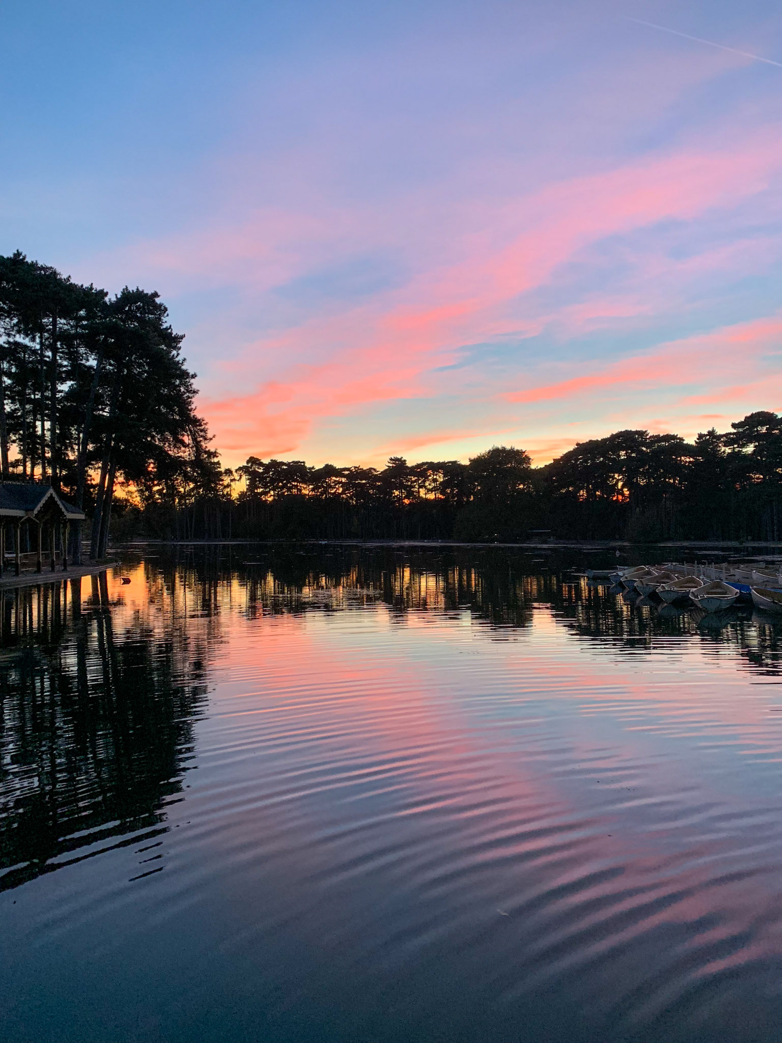 4.25mm 1/60s f/1.8 ISO 200