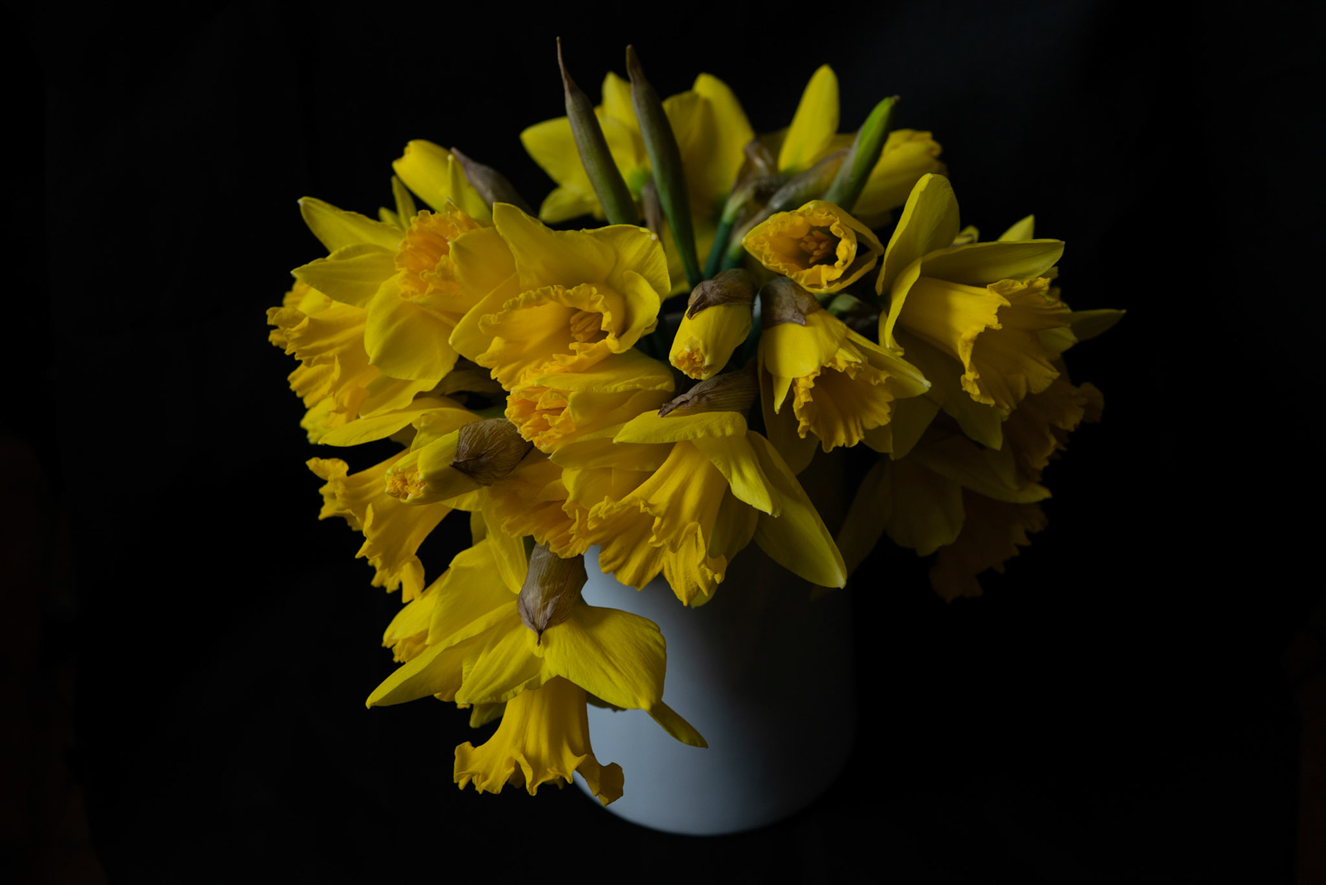 35mm 1/40s f/7.1 ISO 800