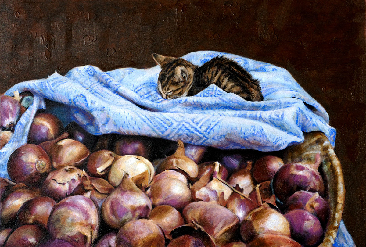 Study for Cat napping on a basket of Onions
