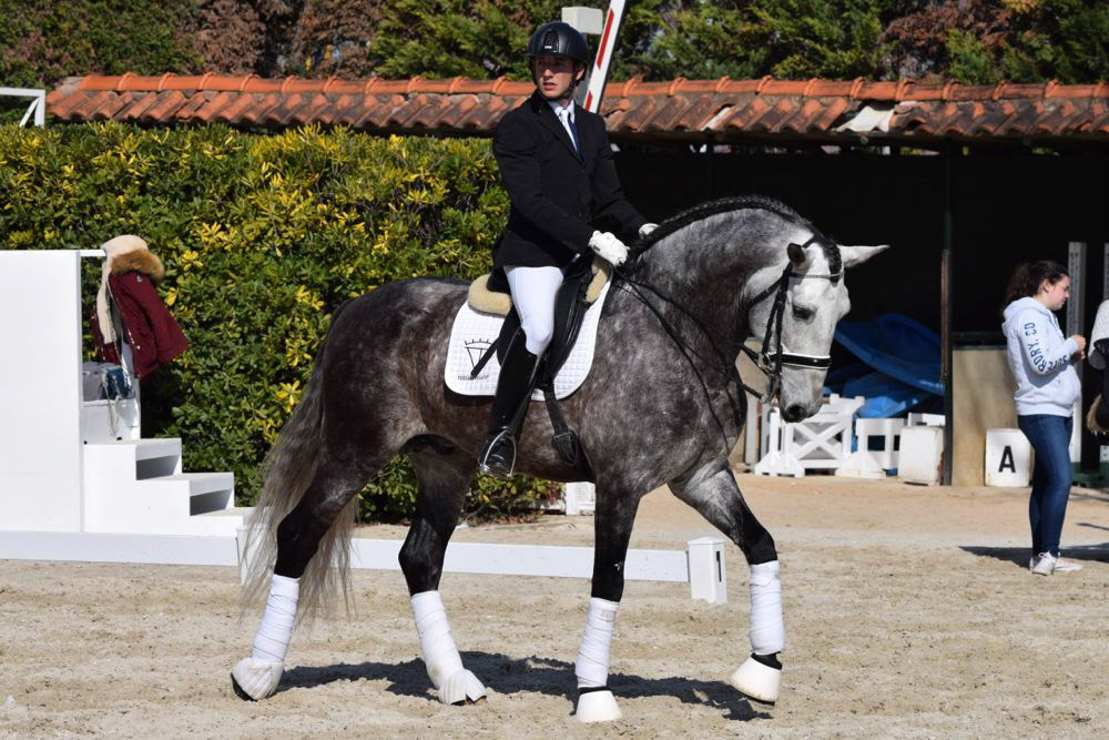 Marc Amat & PRE Stallion Ambicioso
