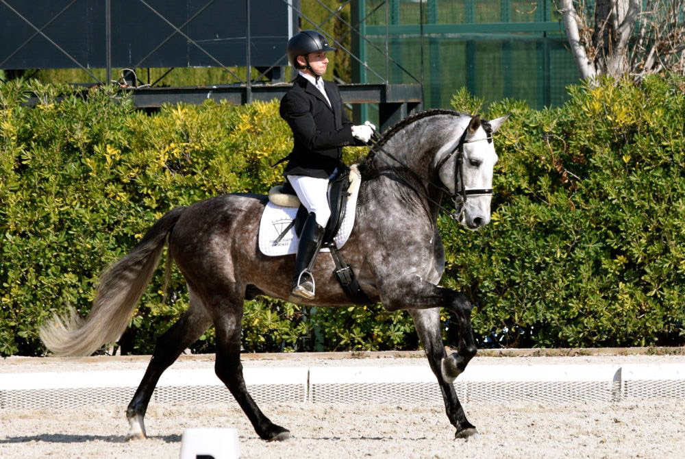 Marc Amat & PRE Stallion Ambicioso