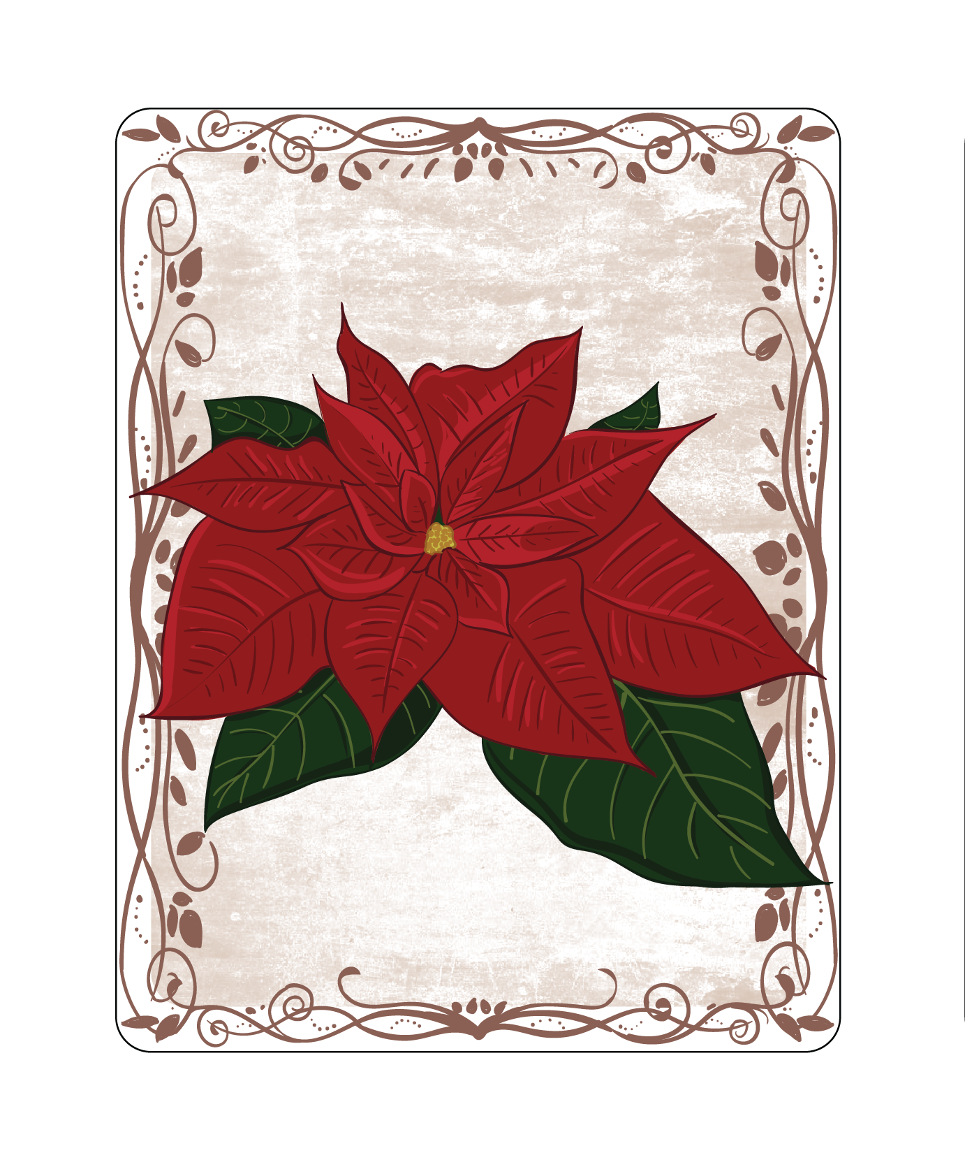 Poinsettia