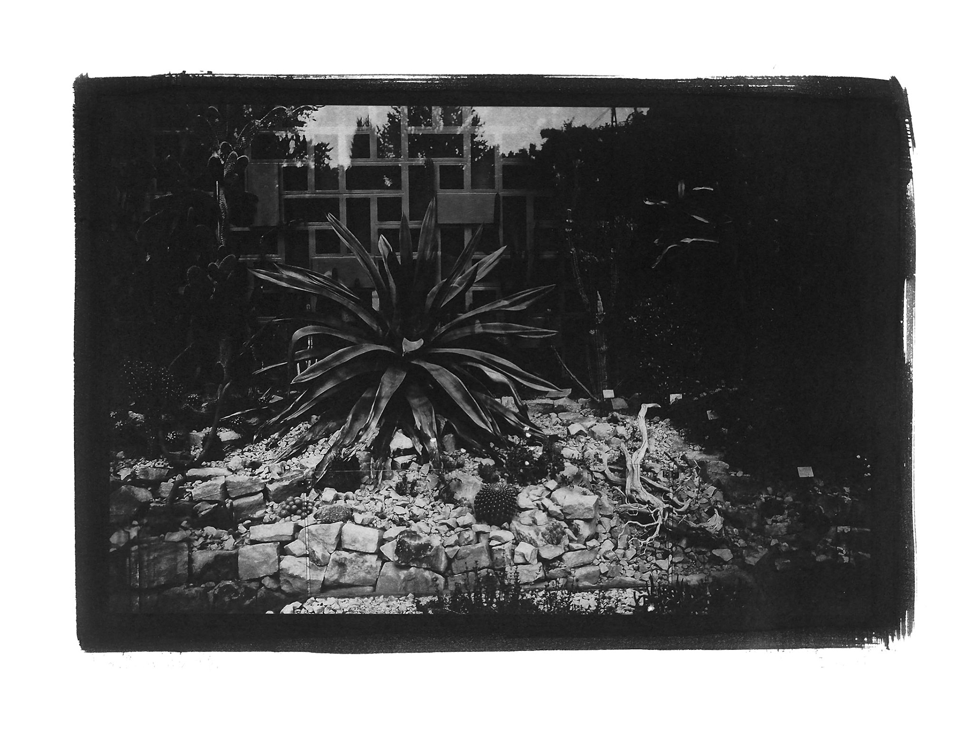 Series GARDEN