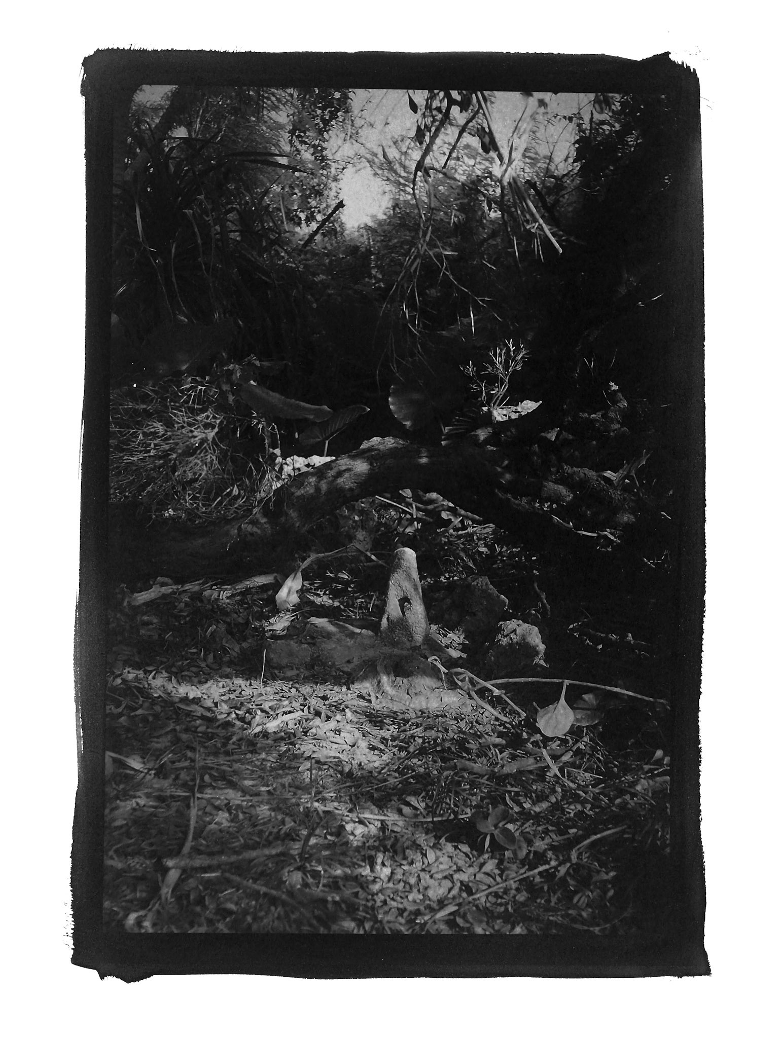 Series OKINAWA