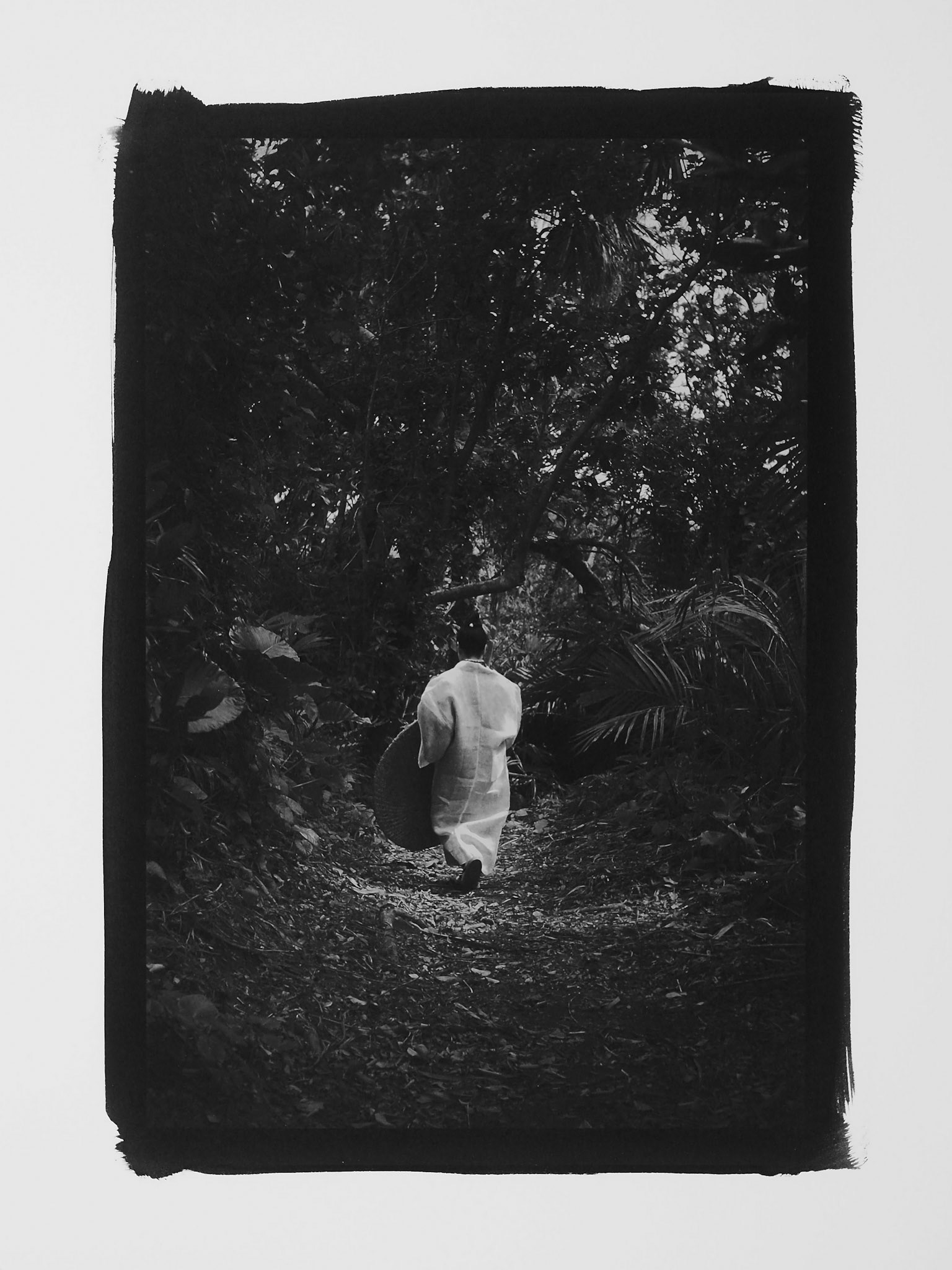 Series OKINAWA