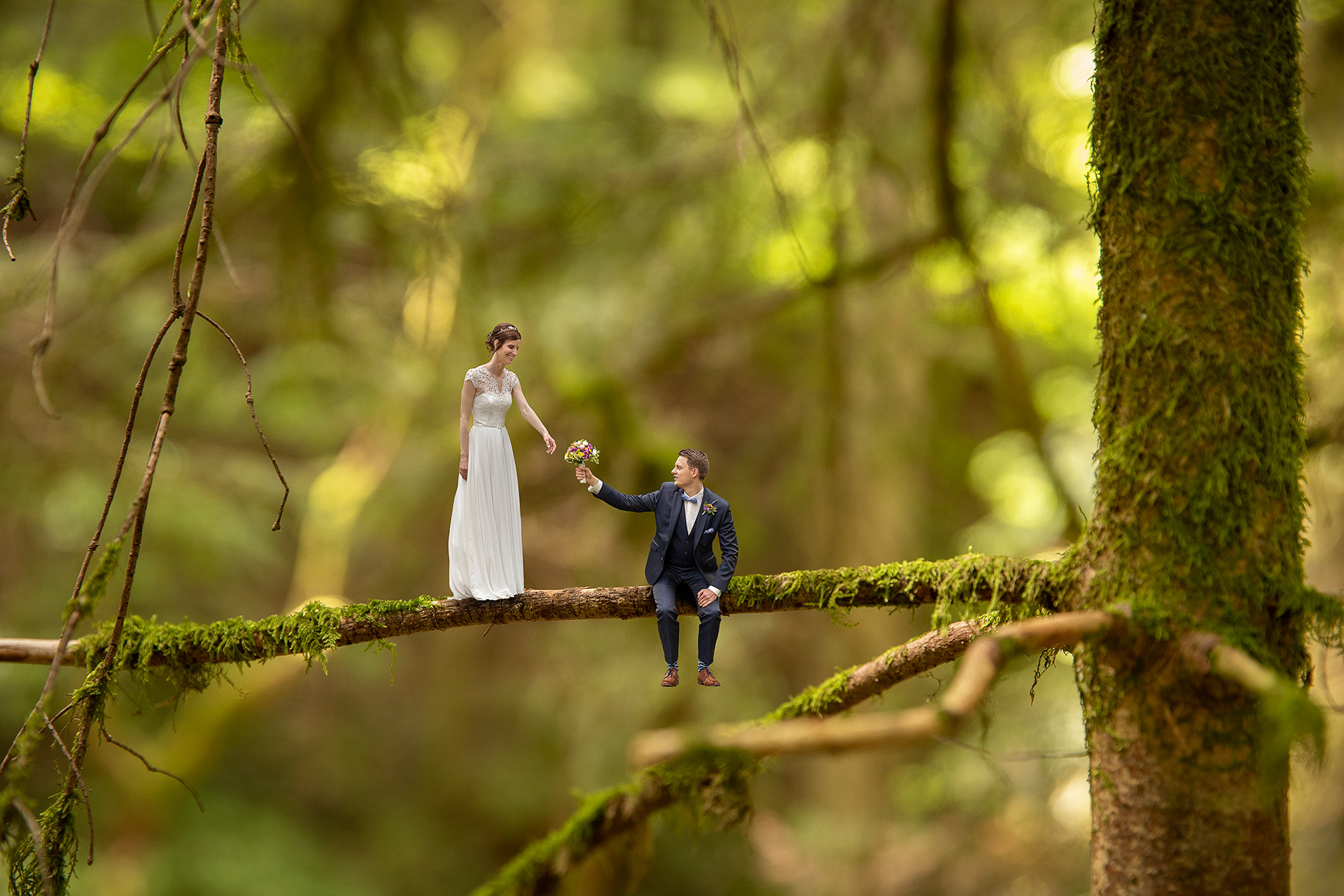 Fotomontage, Brautpaar auf Baum
