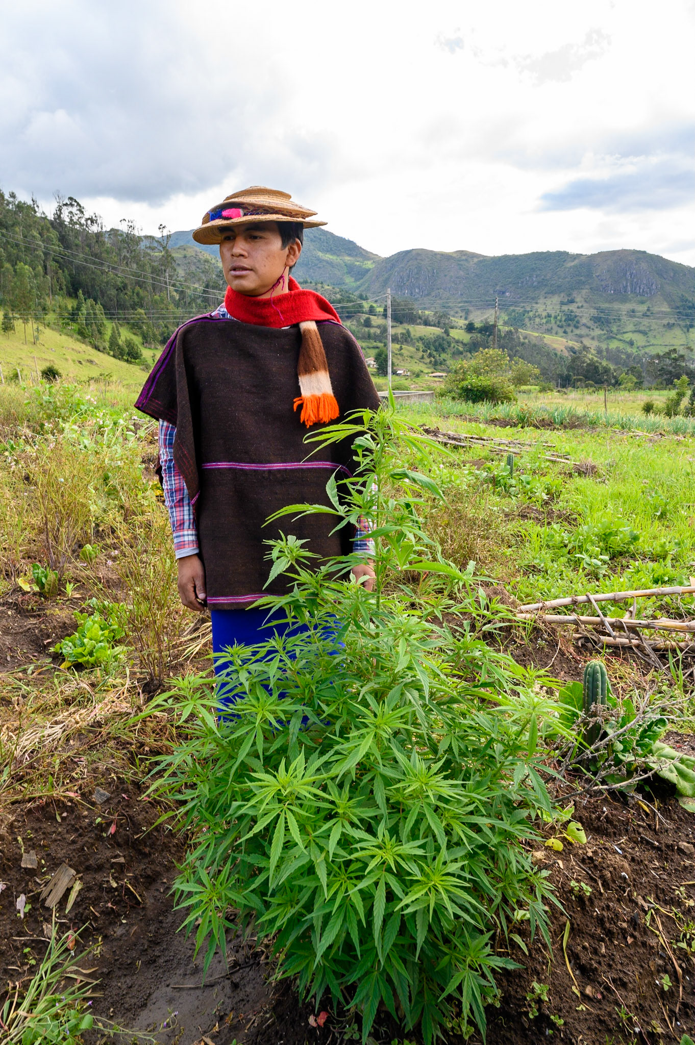 Silvia, Cauca, Colombie