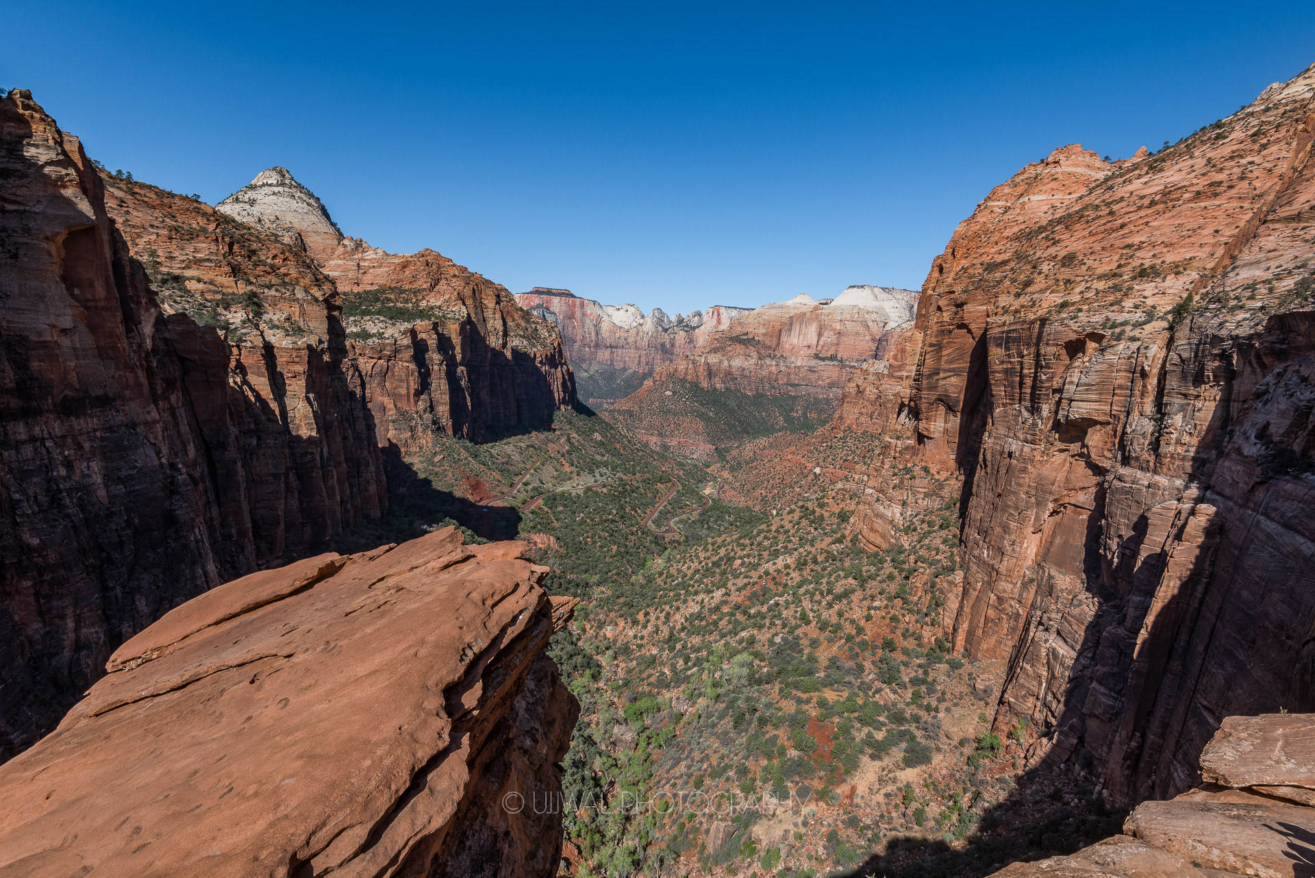 View of Canyons from the top of Angels Landing at Zion National Park USA