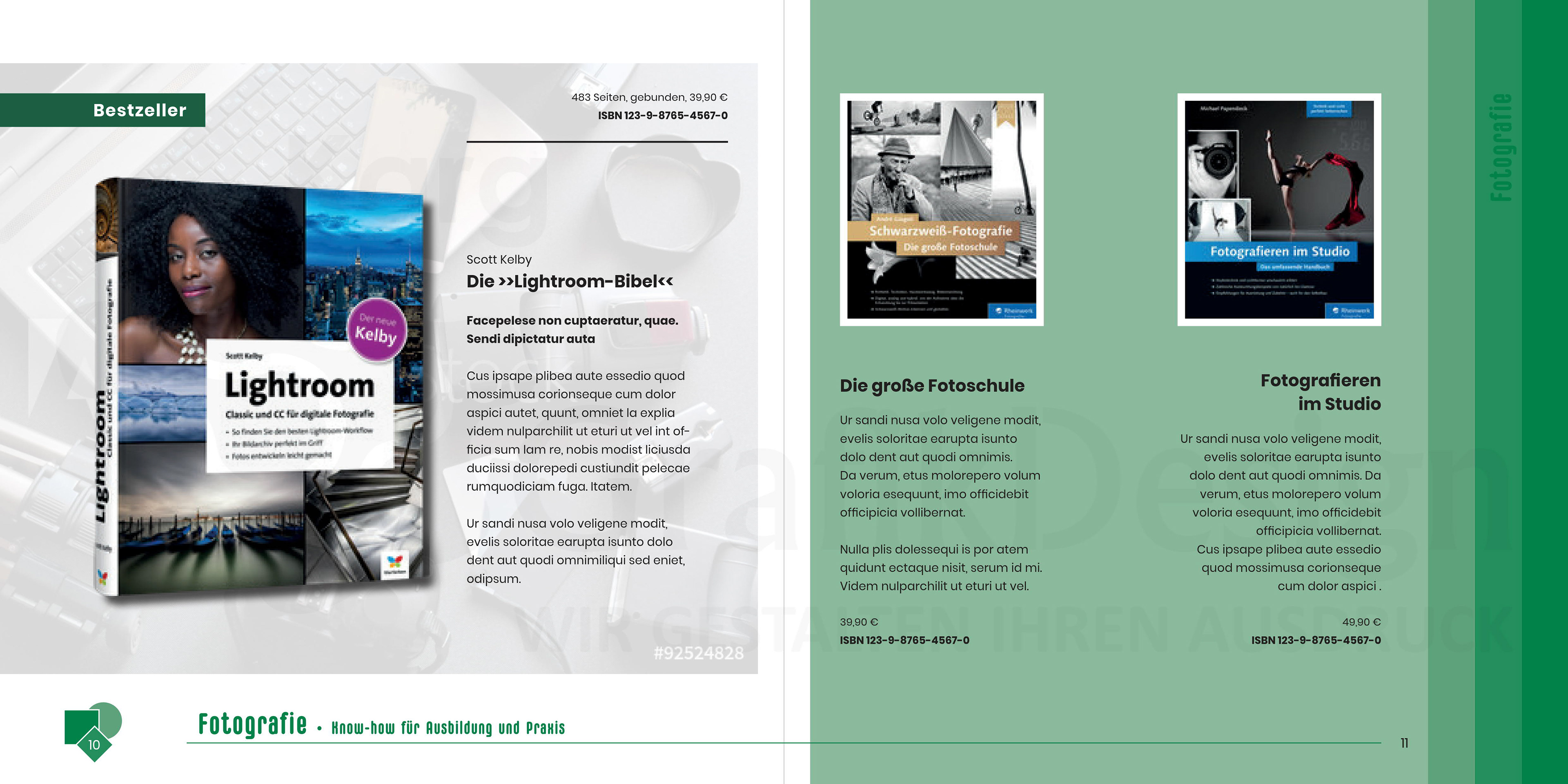 Verlagsbroschüre (Innenseite)