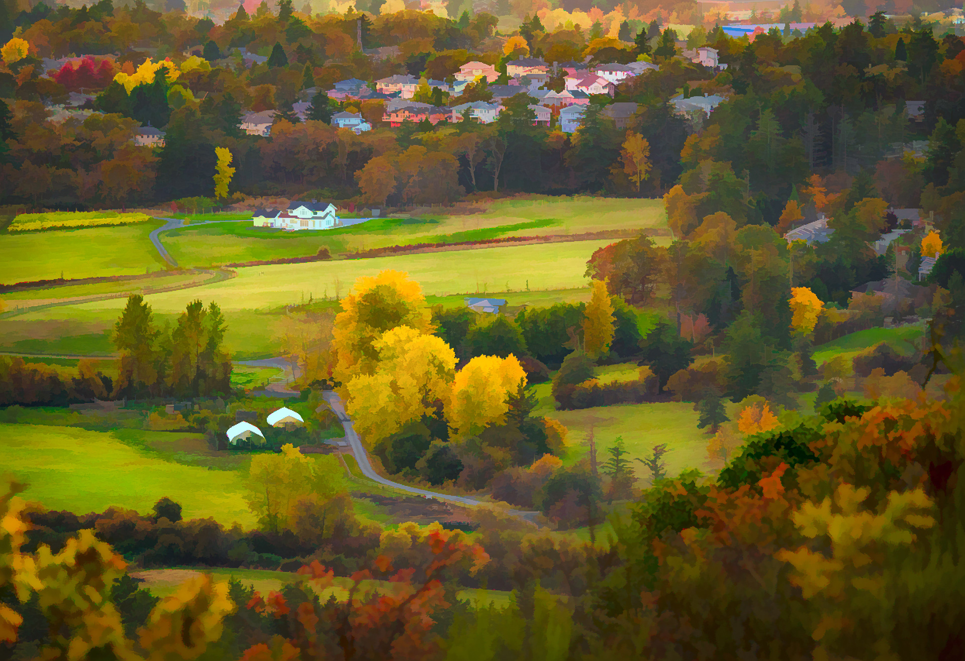 Farm Fields