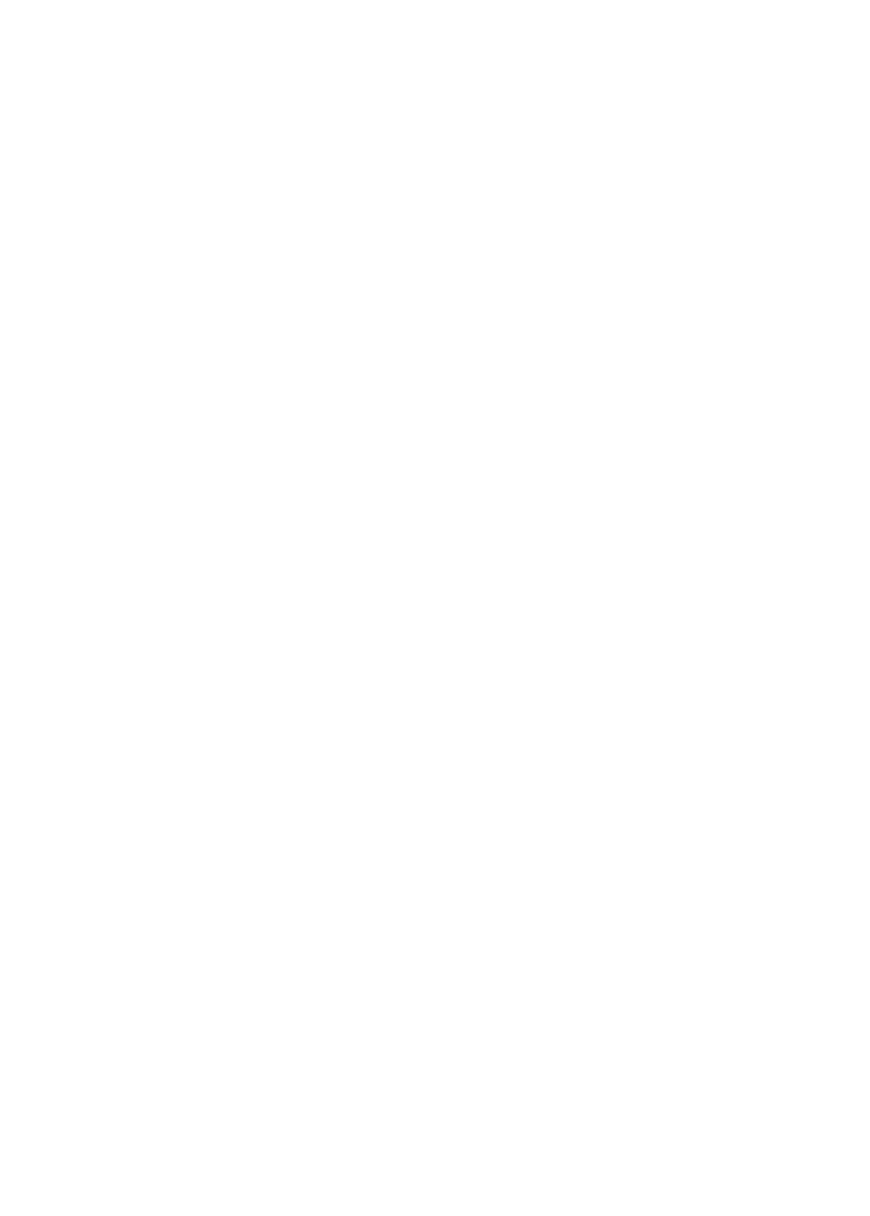 Joe Borges