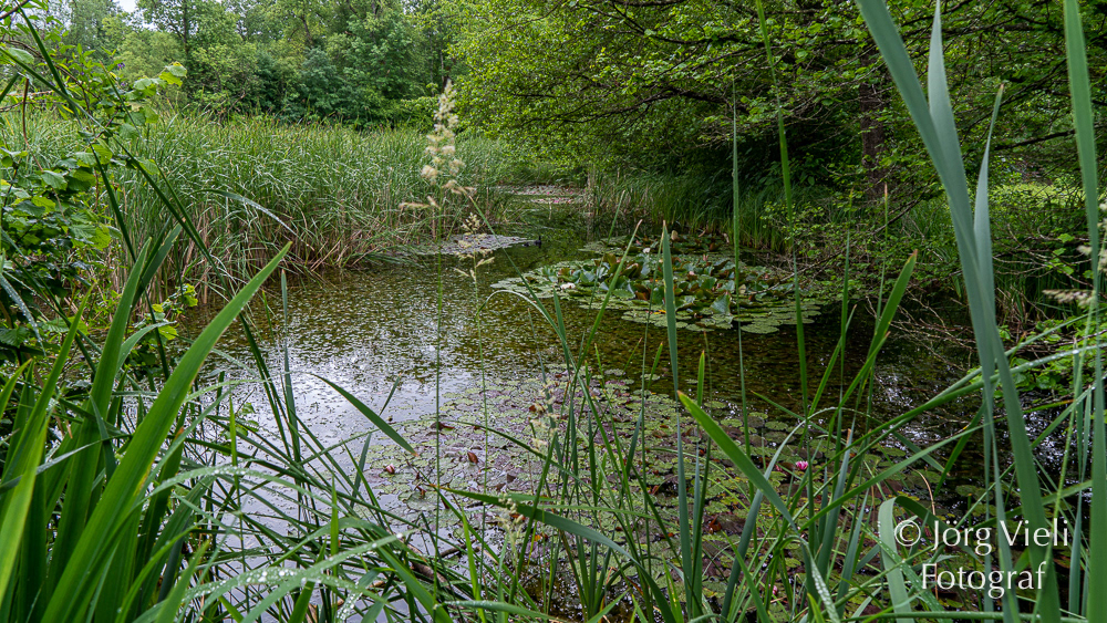 DSC 096