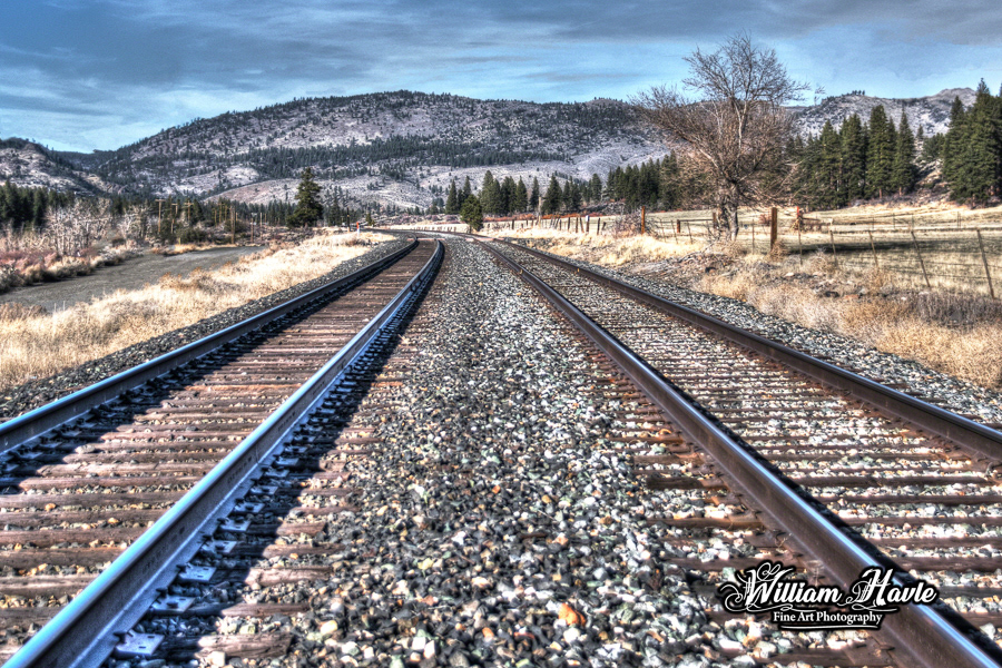 Dueling Tracks