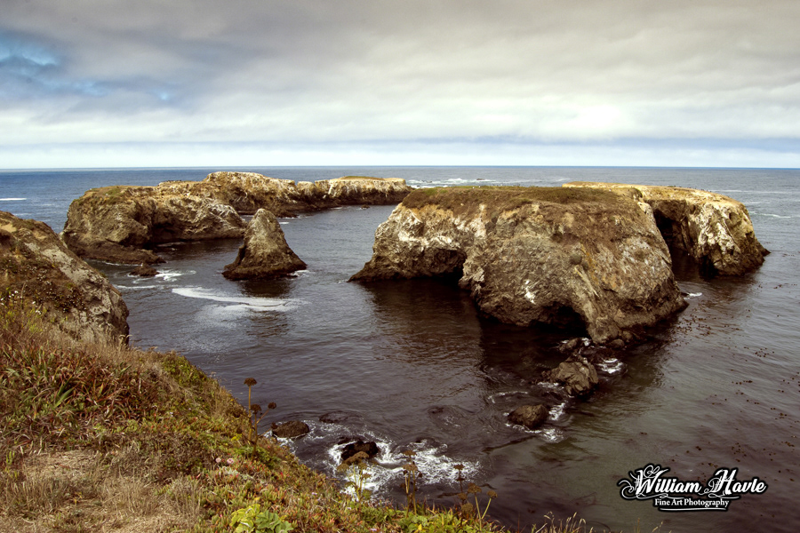 Mendocino Coastline 1