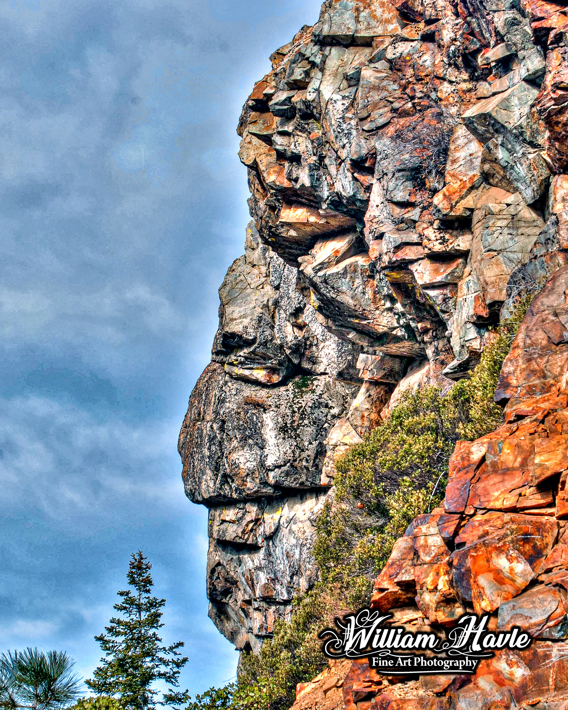 Old Ape Face