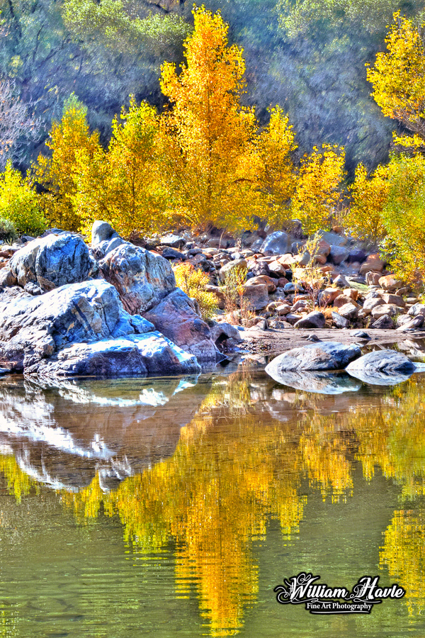 Yuba River Yellow Reflections