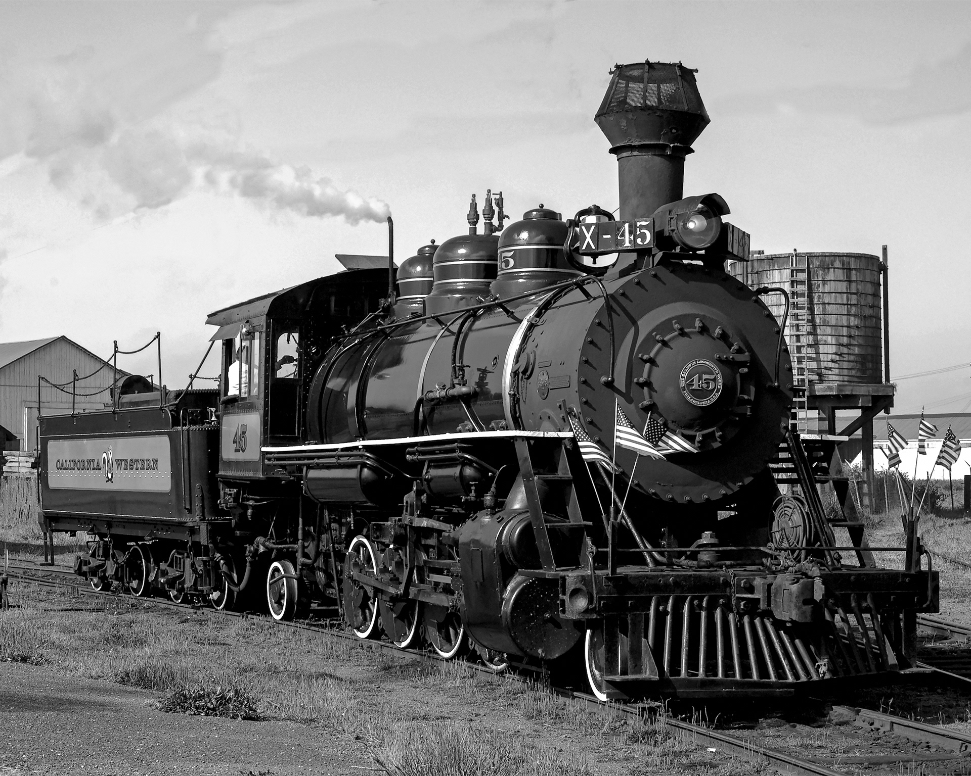 Skunk Train At The Junction