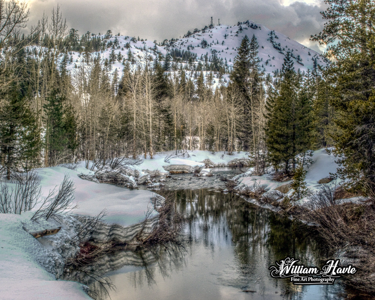 A Winters Peace Of Reflection