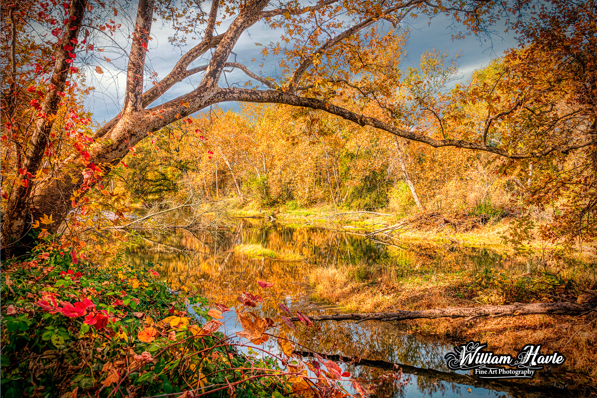 Fall Color Calm