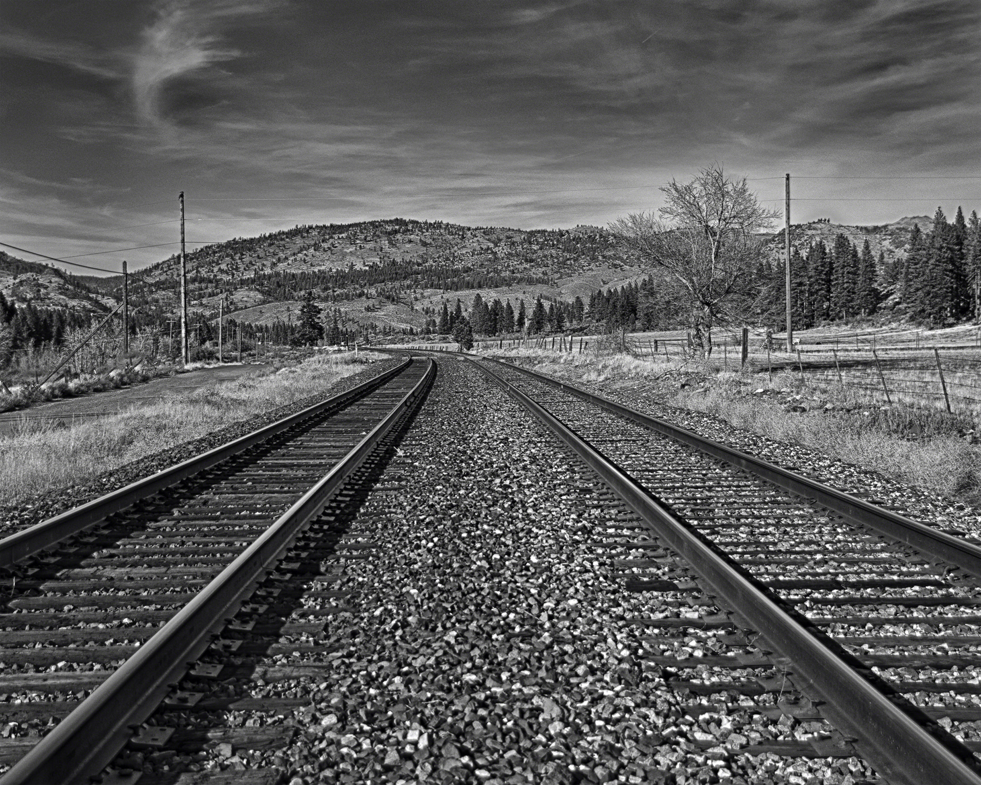 Dueling Tracks