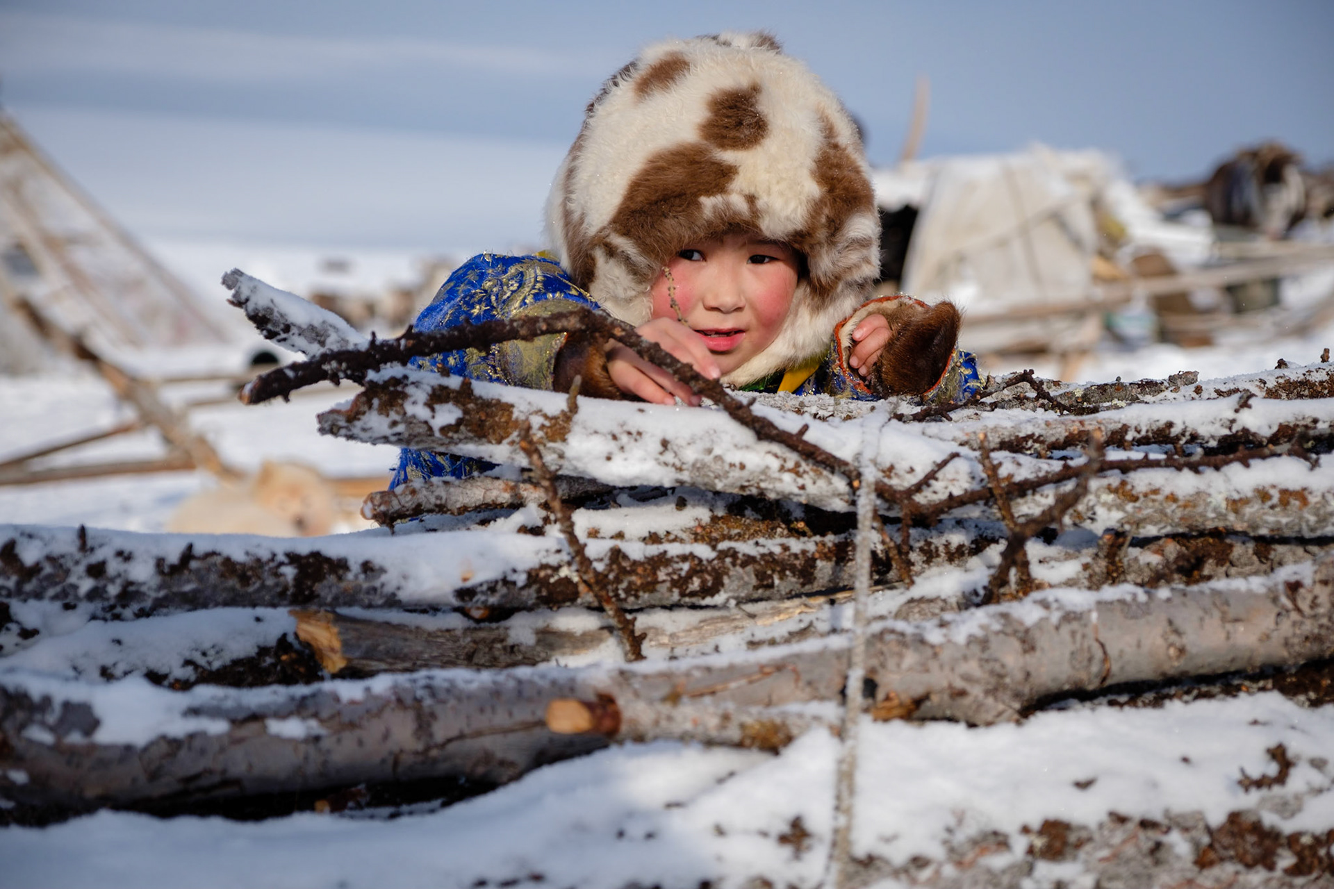 Ina, daughter of the big Nenets family