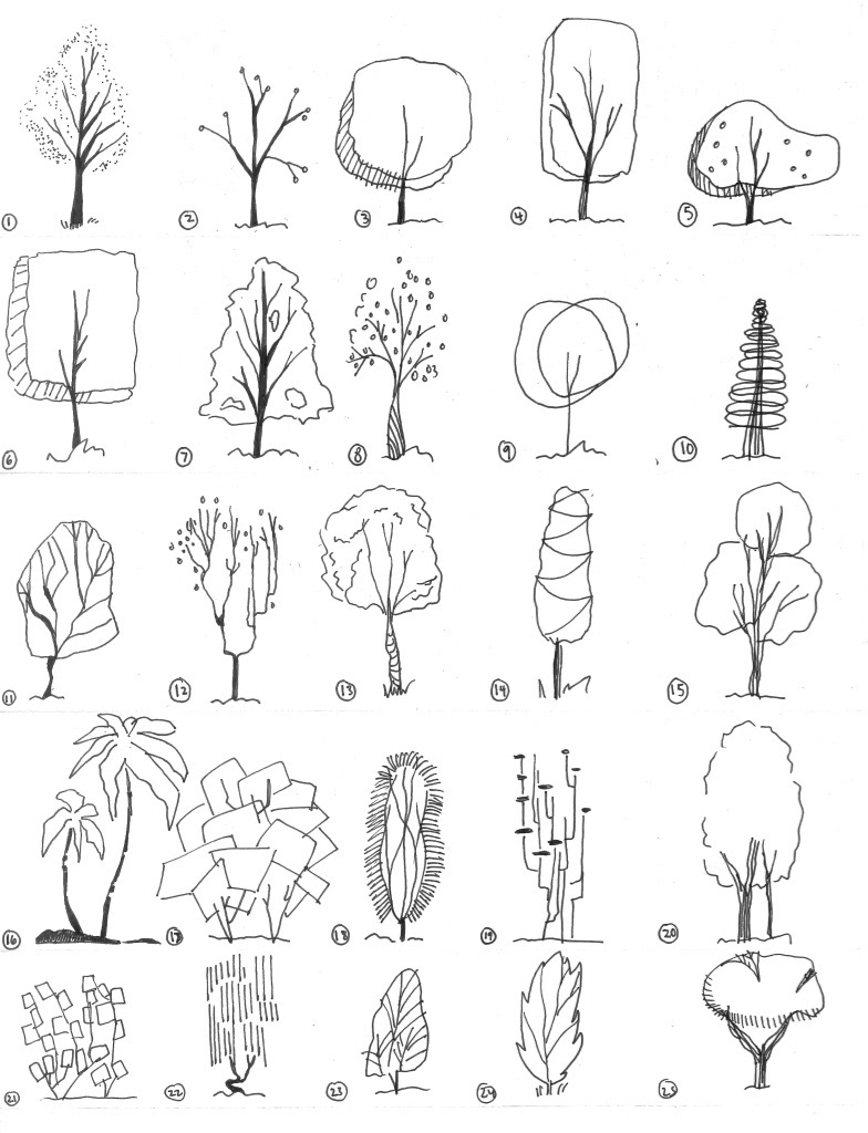 Trees