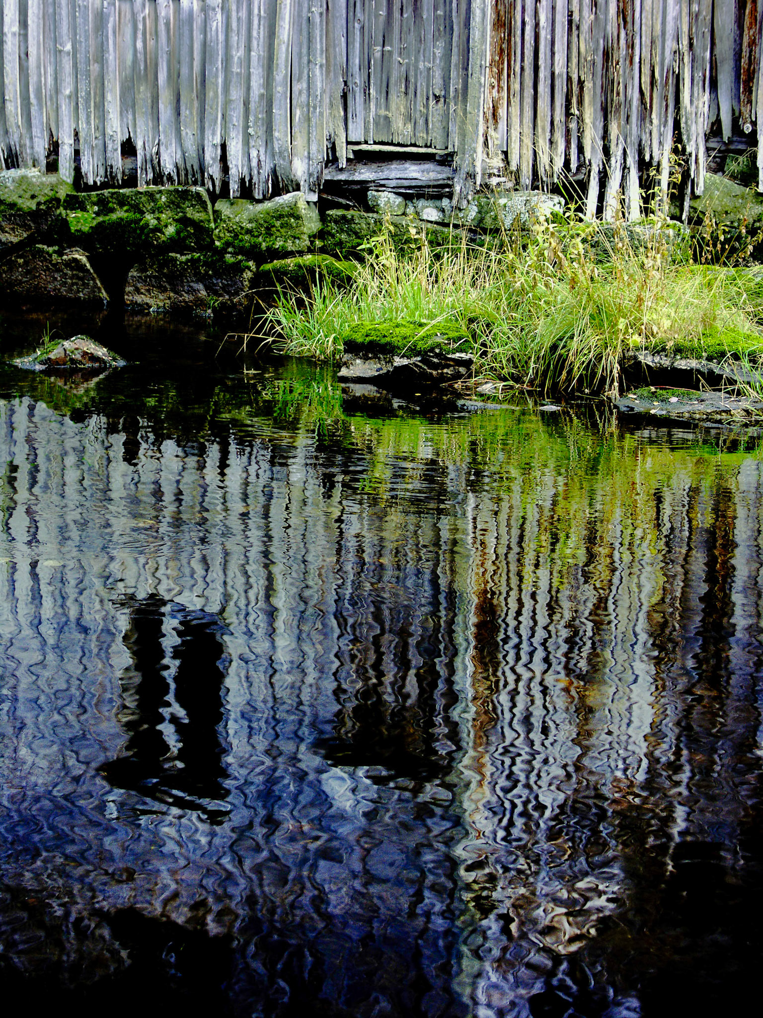 KONICA MINOLTA DIGITAL CAMERA