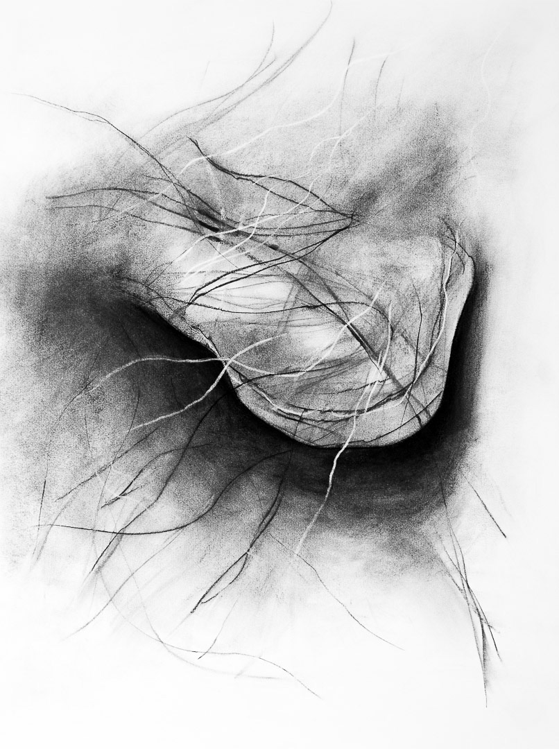 Fusain sur papier, 24 x 18 po