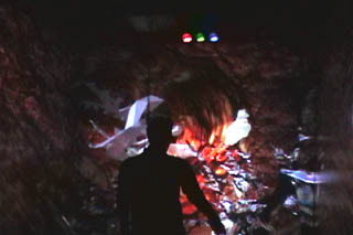 “IMMEDIA 2002--The Senses” "REV17 The Body w/o Organs", Virtual Reality Installation in CAVE™ Environment, Virtual Reality Lab, Media Union, The University of Michigan, Ann Arbor