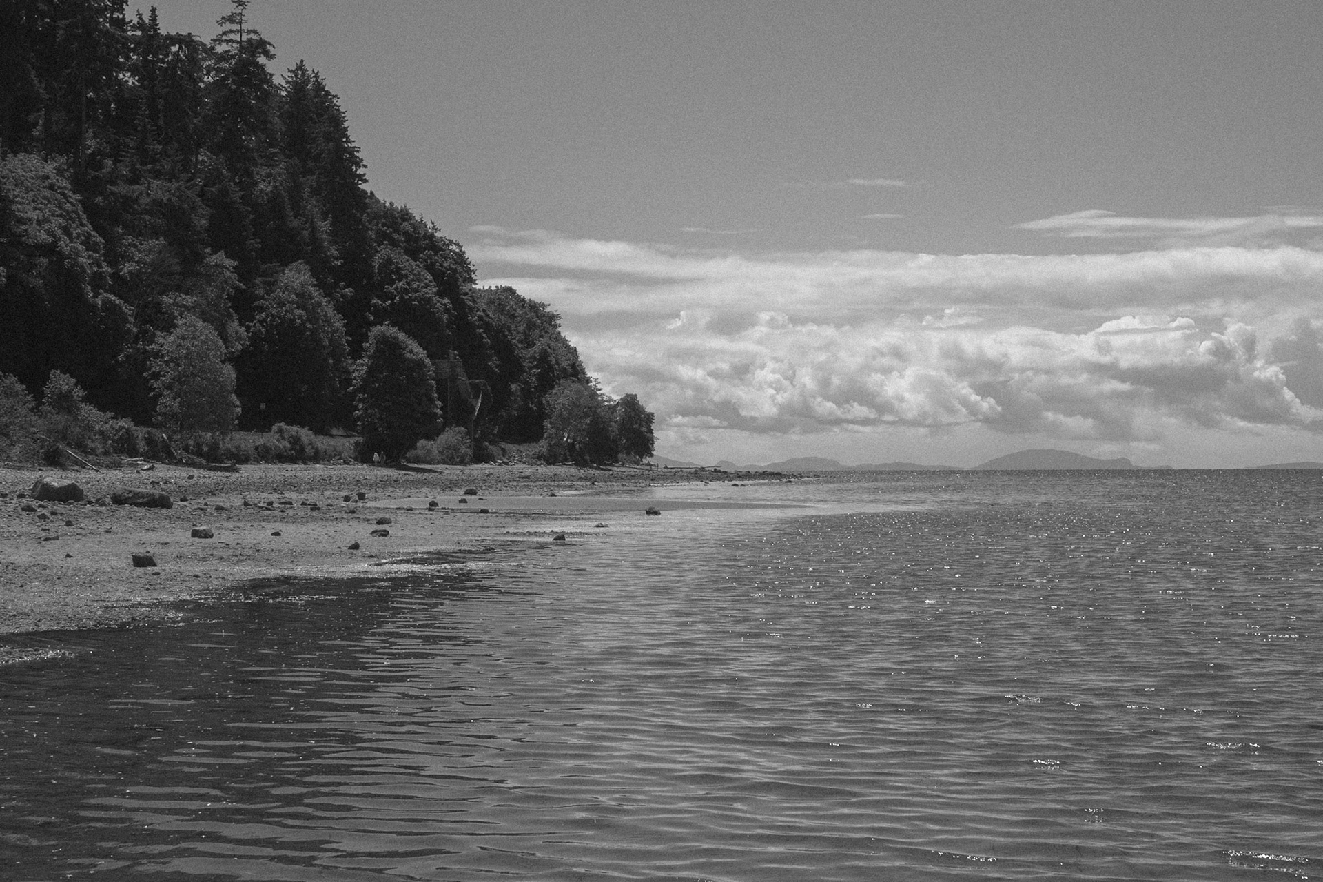 Photos taken on last day of recent trip with Cecily to White Rock BC. Shoot with intention to learn from Mary Randlett's photography.OLYMPUS DIGITAL CAMERA