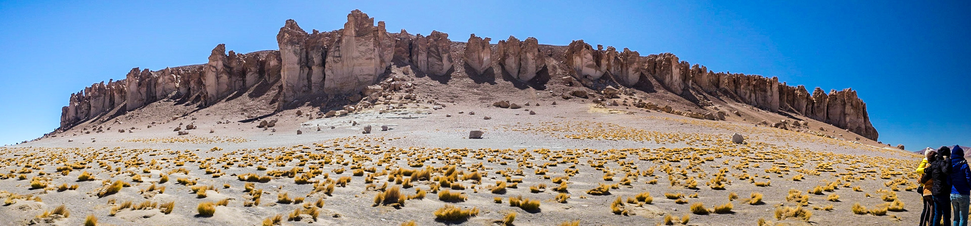 The Cathedral at Salar de Tara