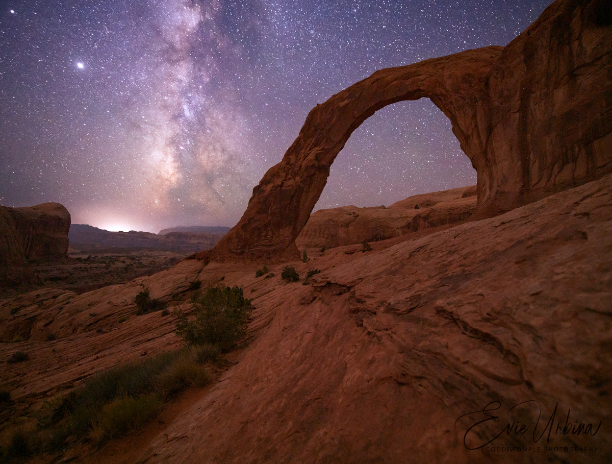 Desert Splendor