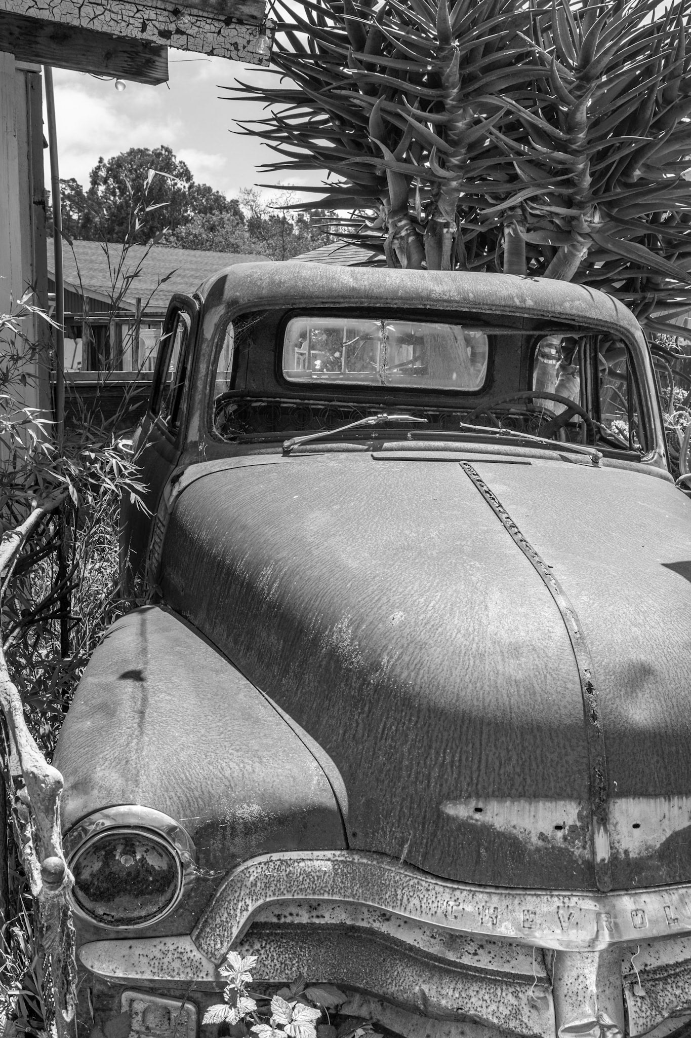 Rusted Car, Cambria, 2019