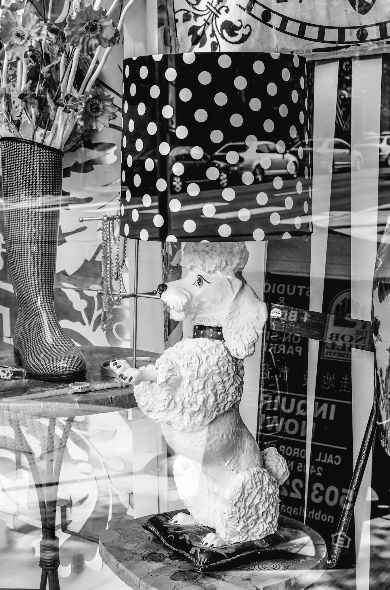 Shop Window, Portland, Oregon, 2011