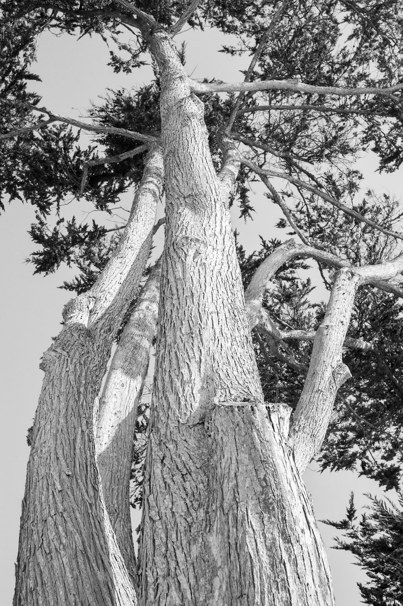 Carmel-By-The-Sea, 2011