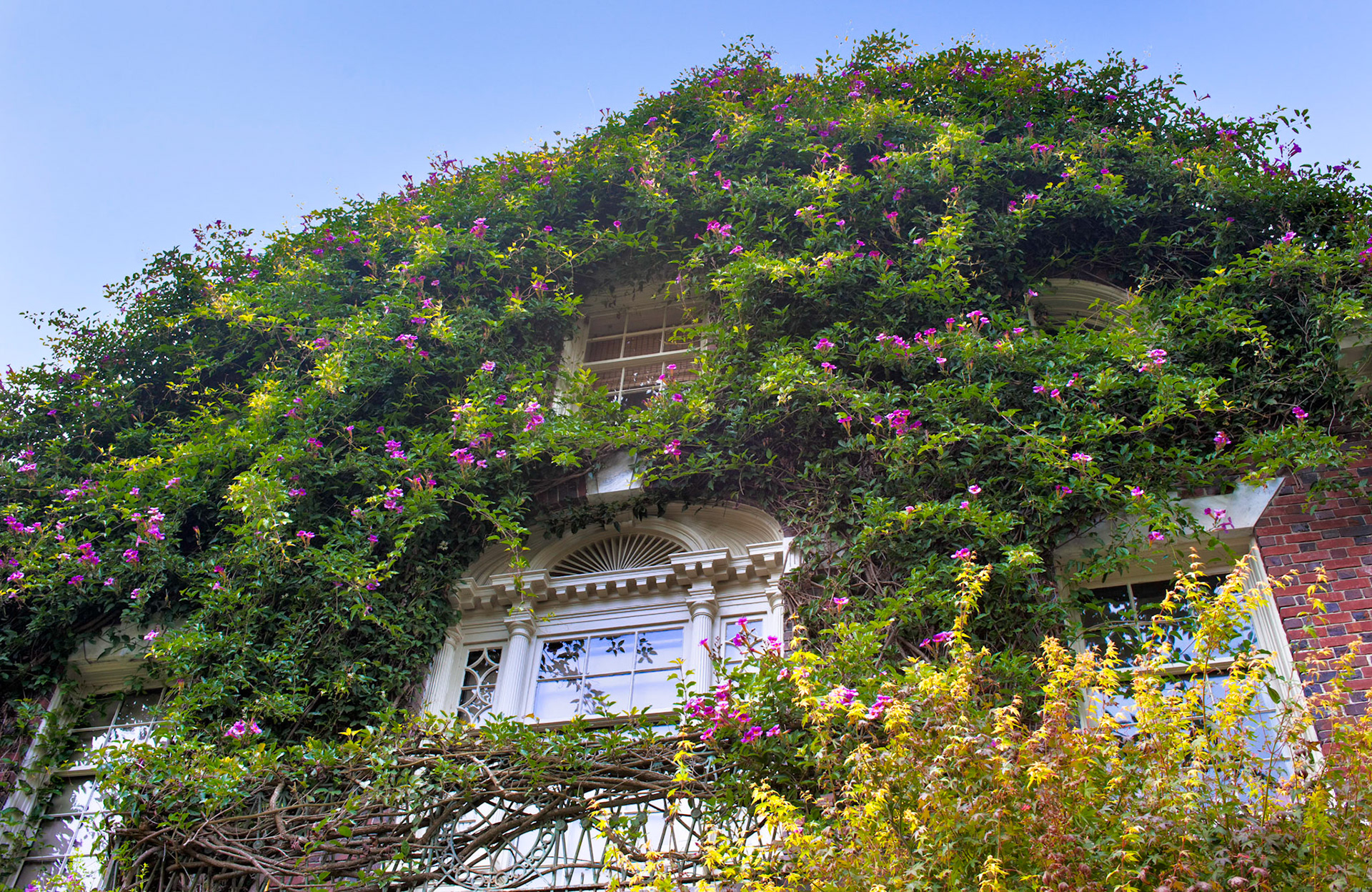 Pacific Heights, San Francisco, 2010