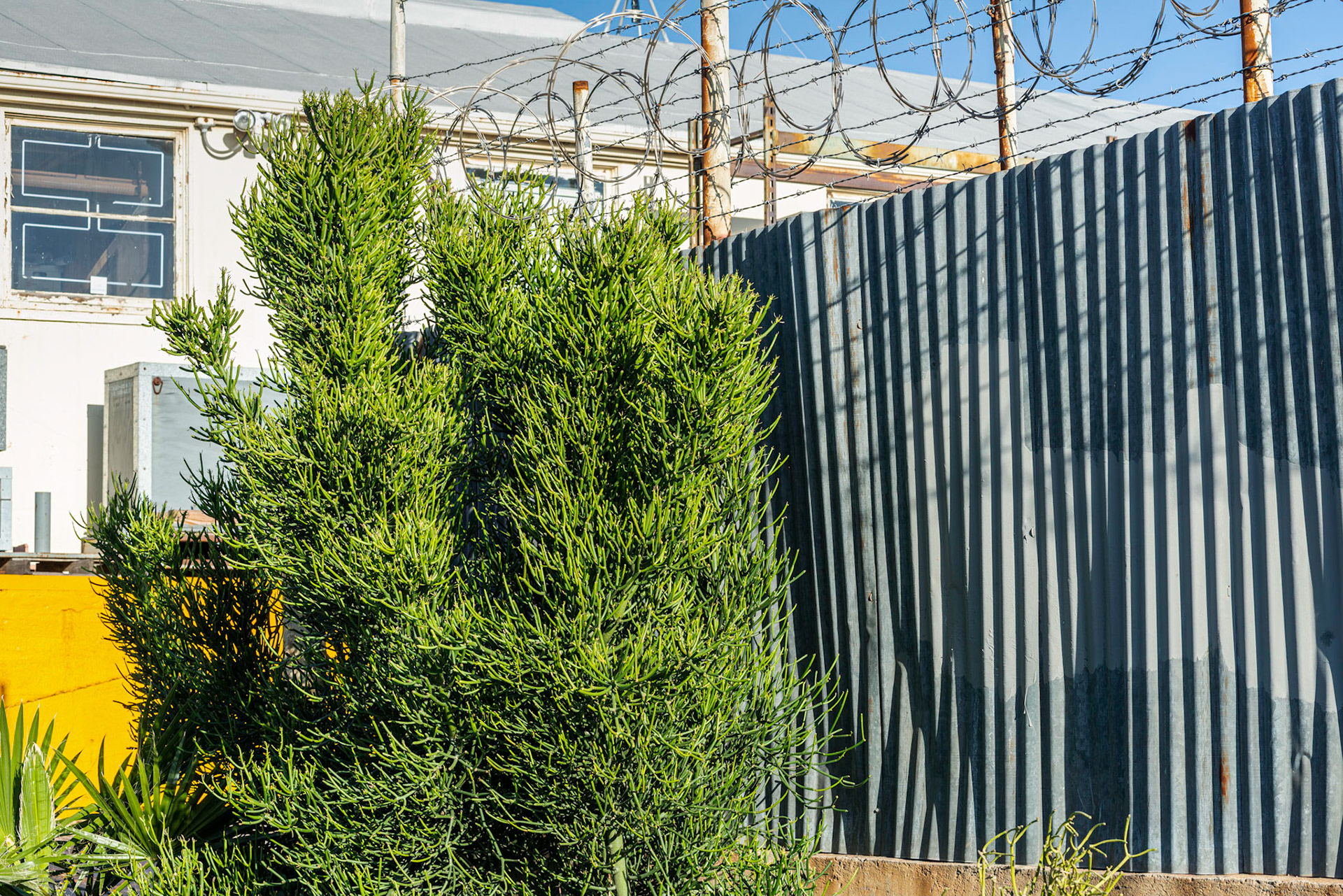 Along Kettner Blvd, Little Italy, San Diego, 2015