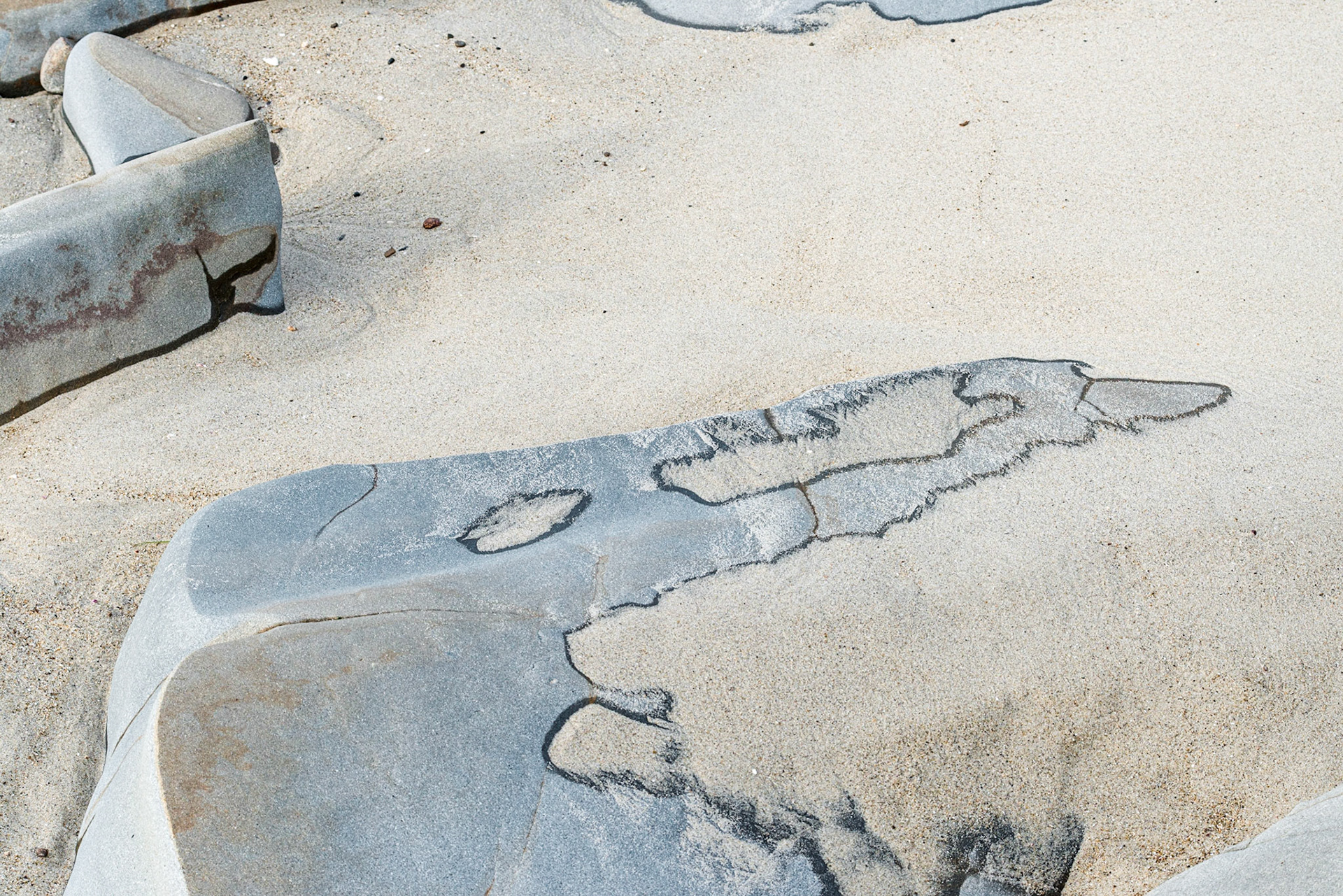 La Jolla Coastal Rock Study 21, 2016