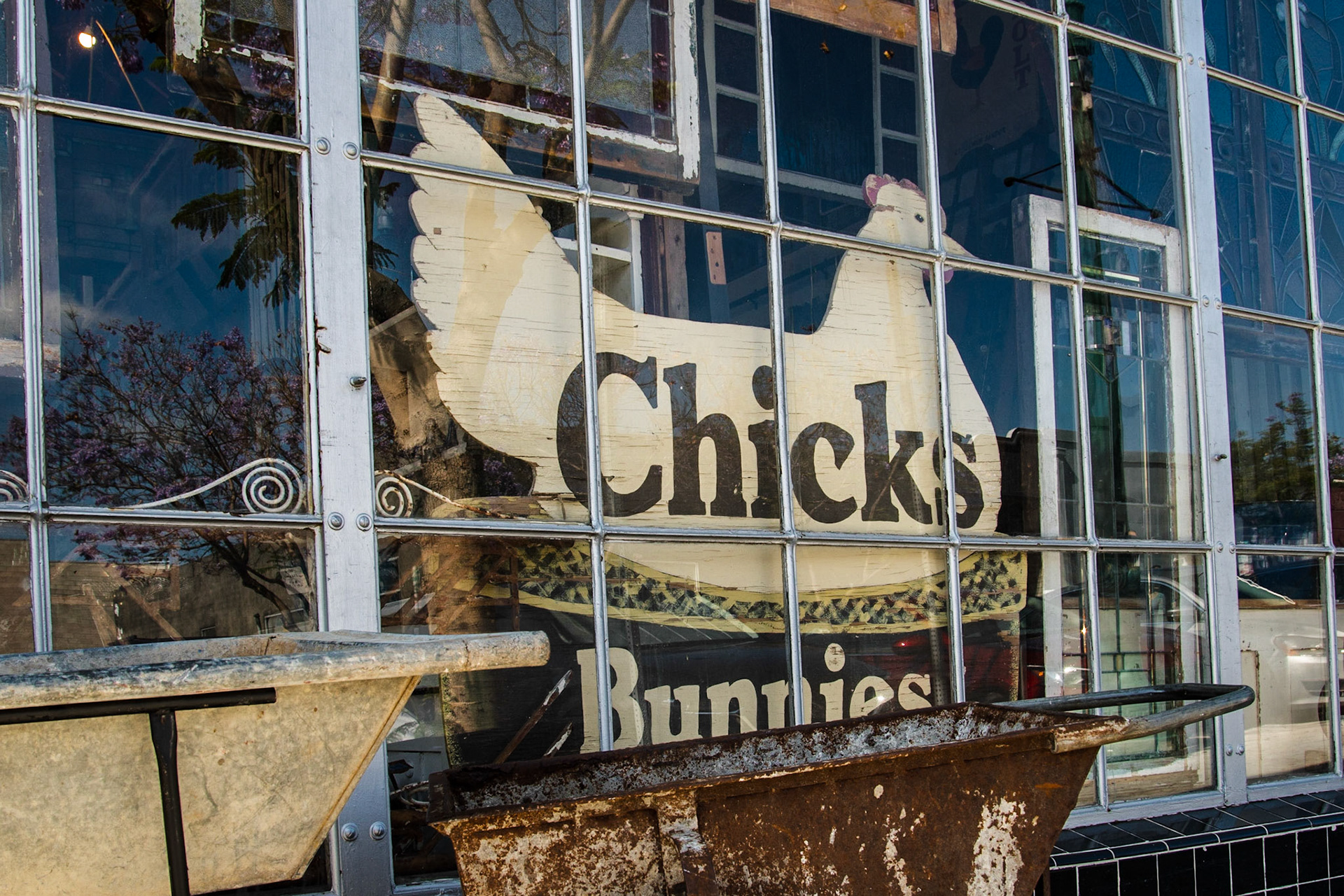 Chicks and Bunnies, Little Italy,  San Diego, 2019