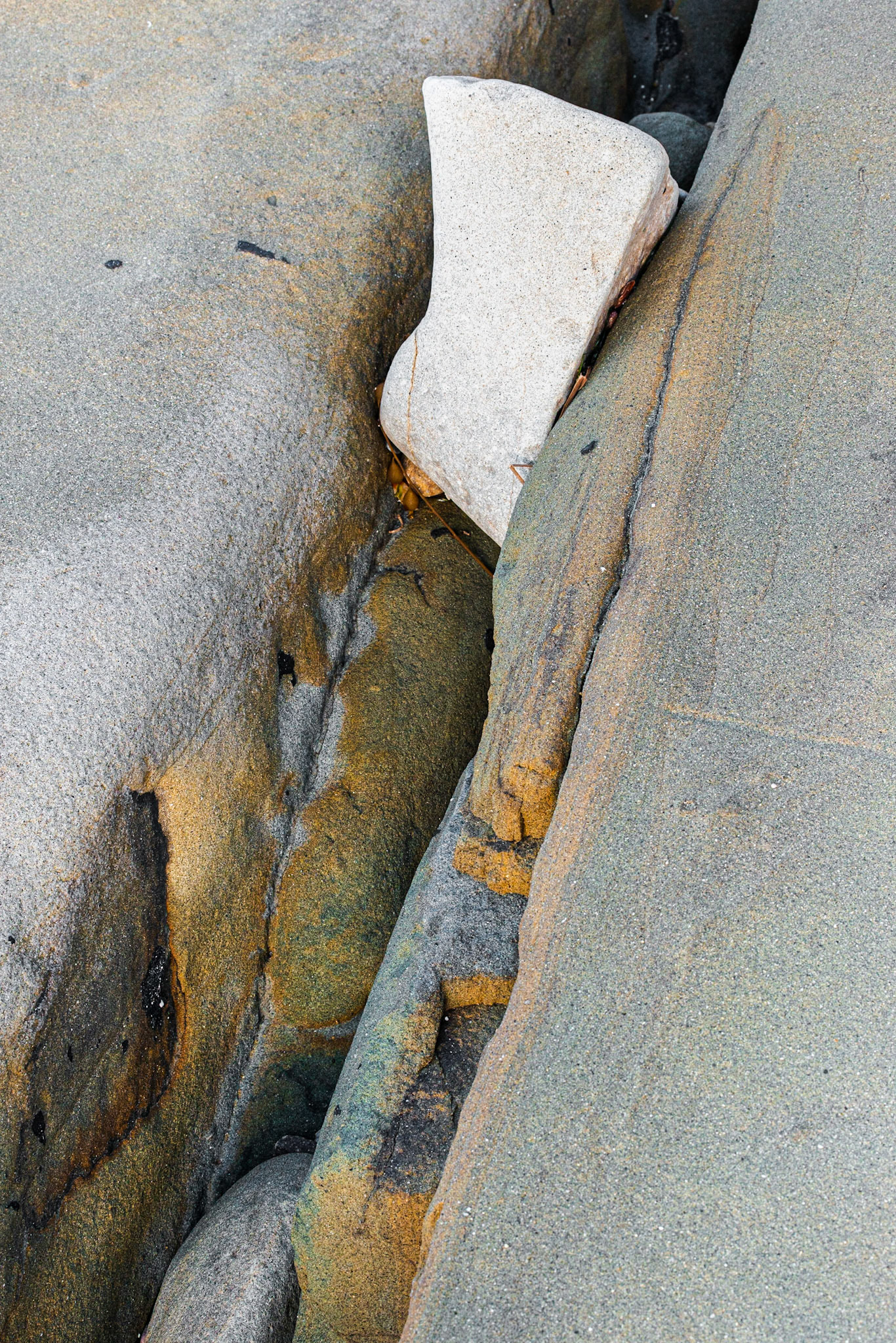 La Jolla Coastal Rock Study 20, 2015