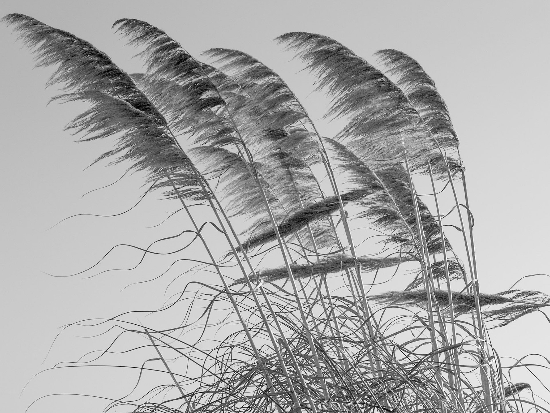 Coronado Beach, 2013