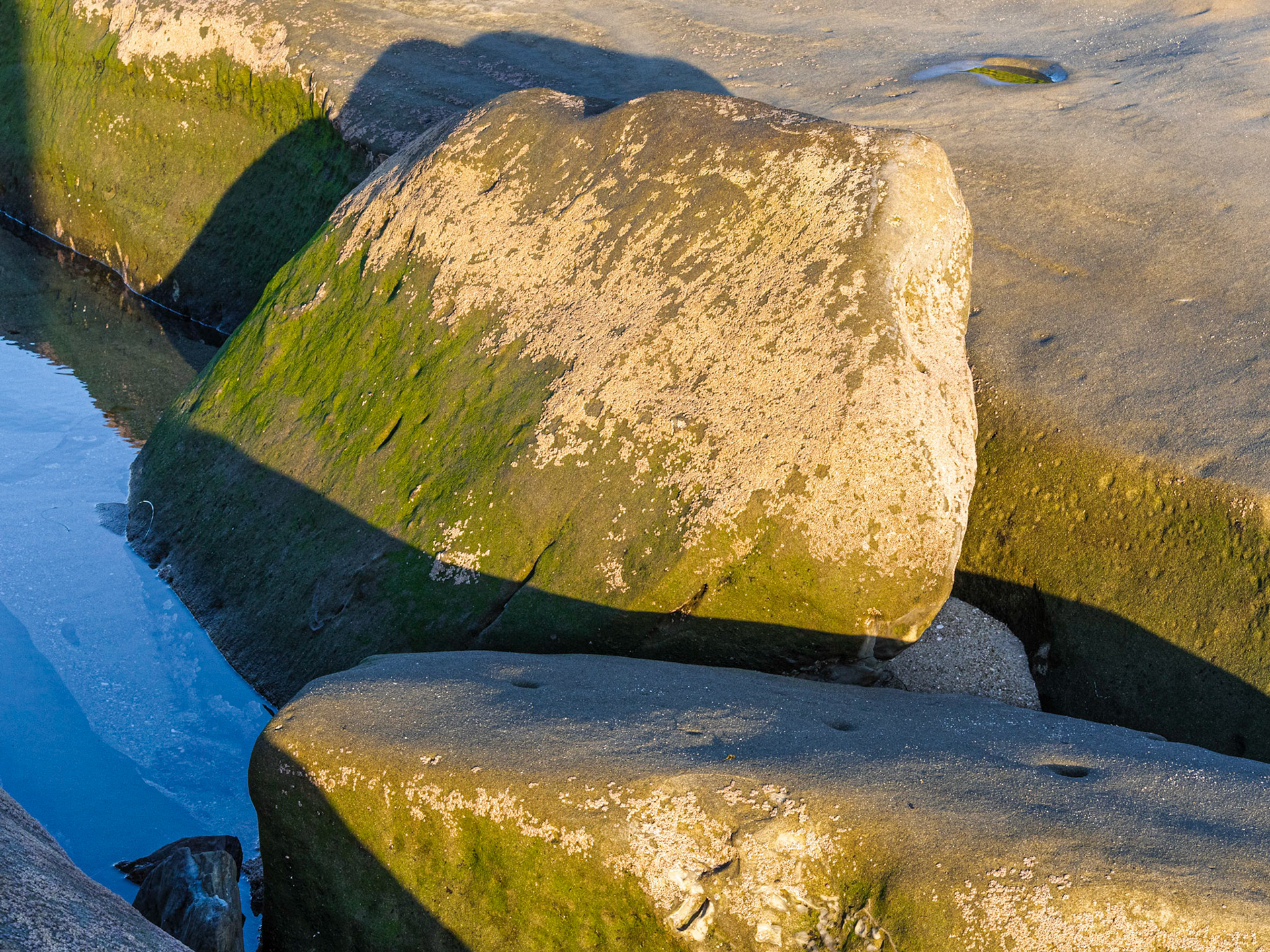 La Jolla Coastal Rock Study 35, 2018