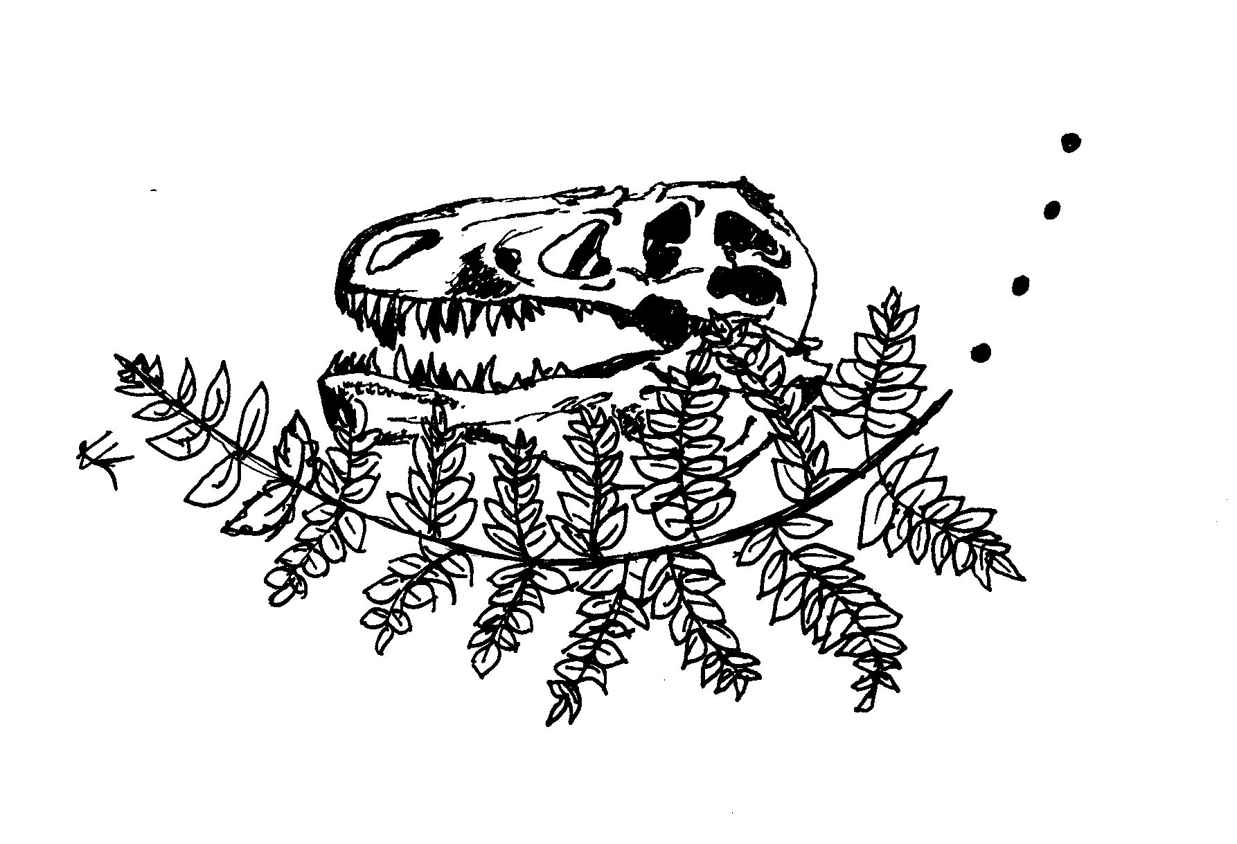 Drawn with Micron pen on paper.