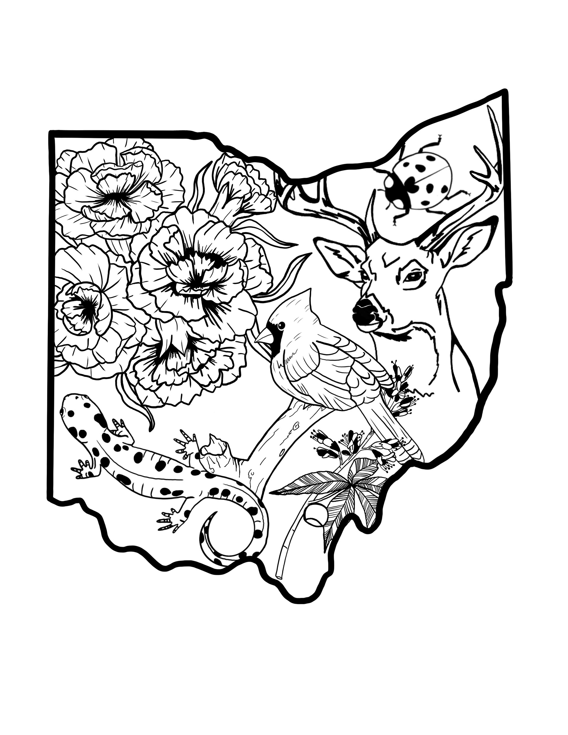 Hand drawn in Procreate.
