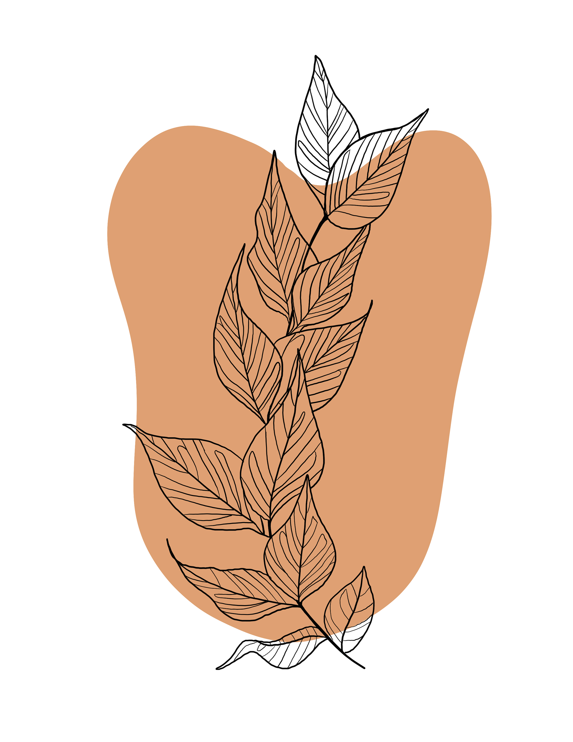 Hand drawn in Procreate.