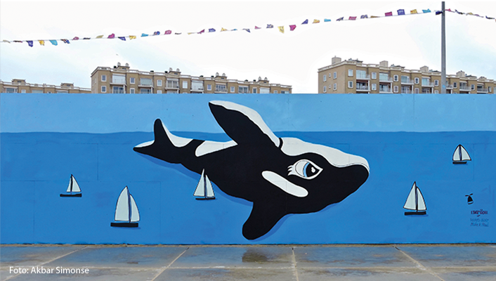 Een orka op Scheveningen, foto door: Akbar Simons