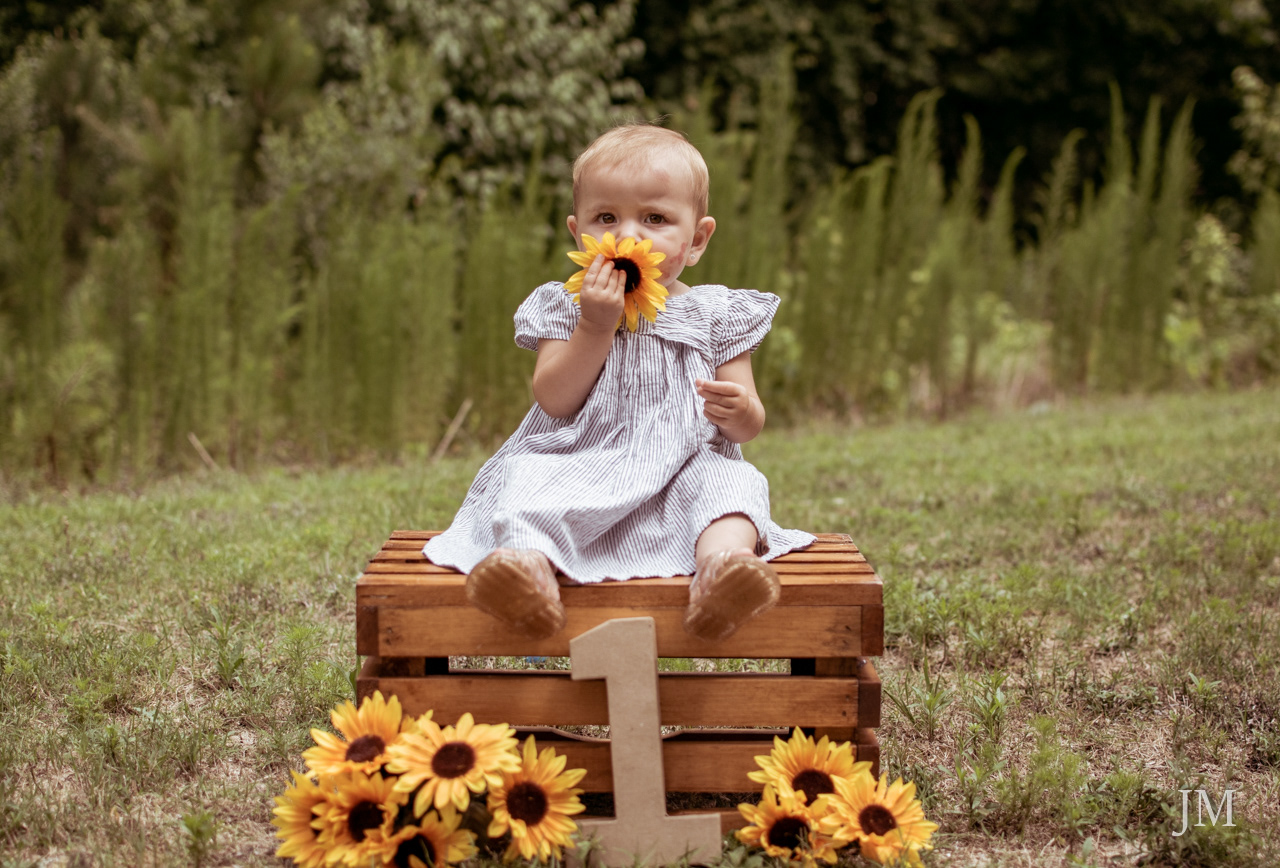 Milestone | One Year Old