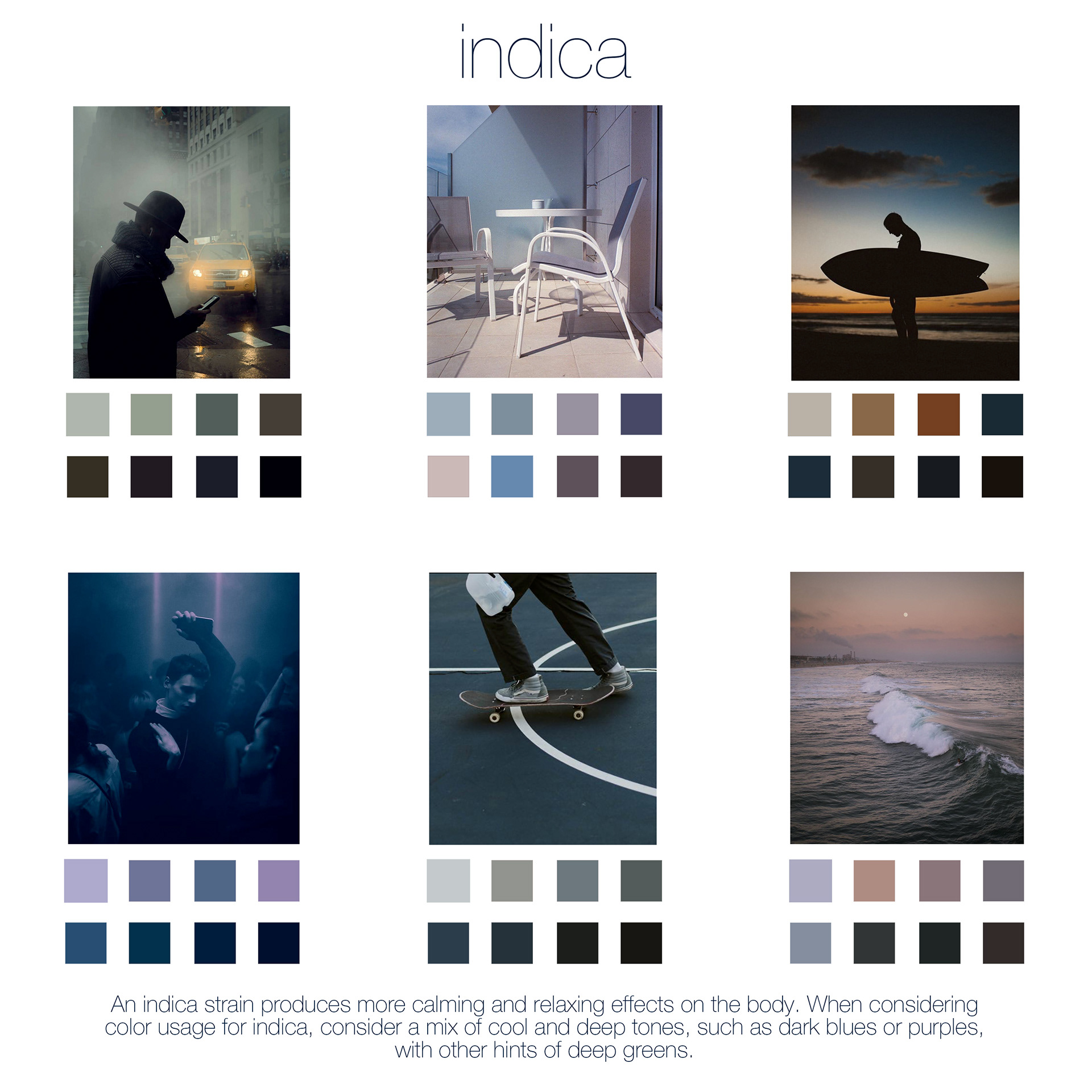 Modern Harvest Brand Guidelines - Exploring color samples for an Indica strain