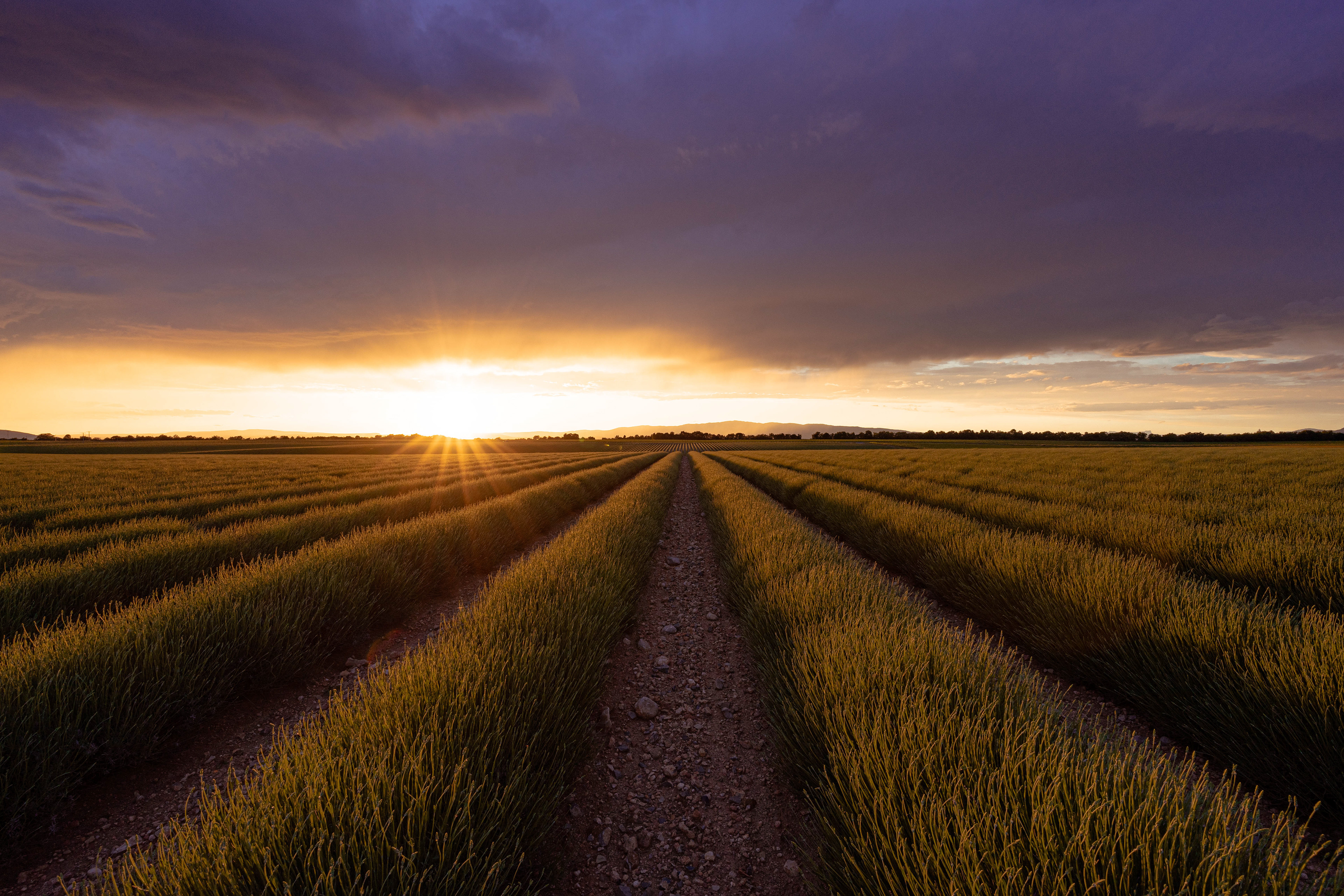 Provence, 2020